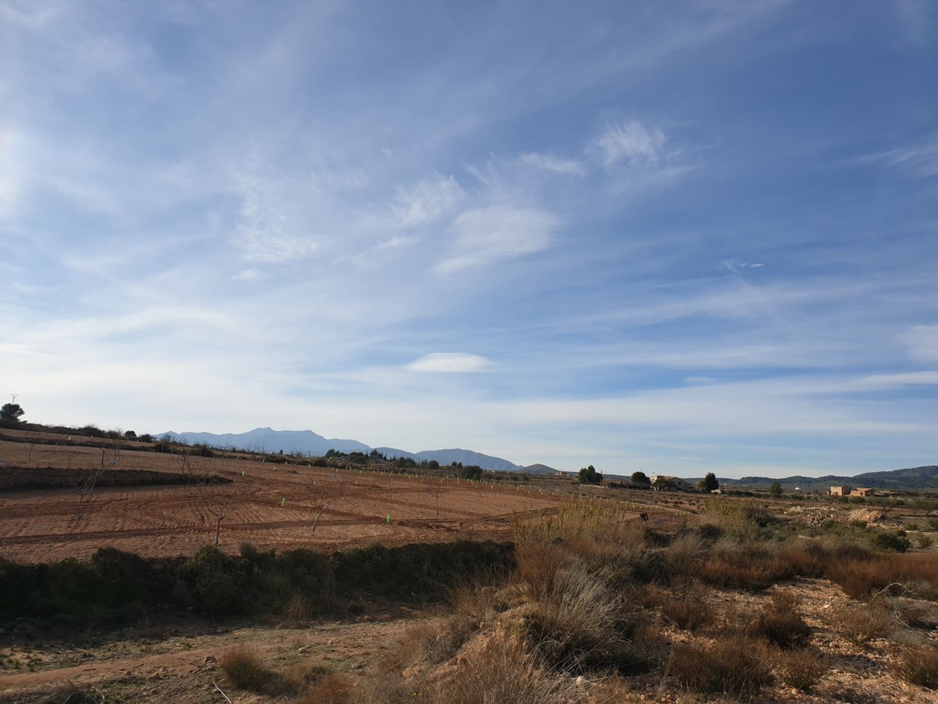 Tierra en Pinoso, Comunidad Valenciana 10723617