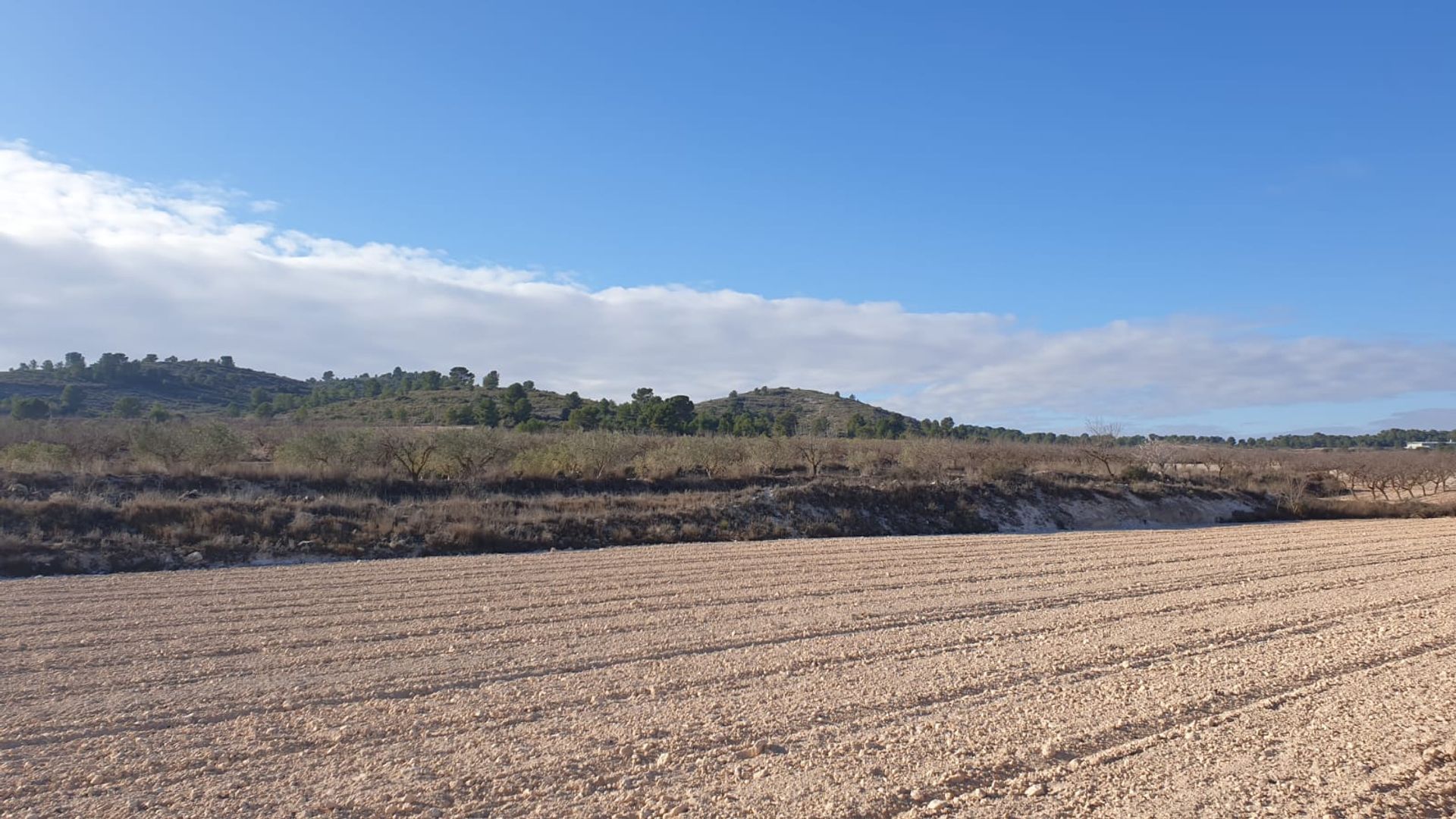 Tanah di Pinoso, Comunidad Valenciana 10723624