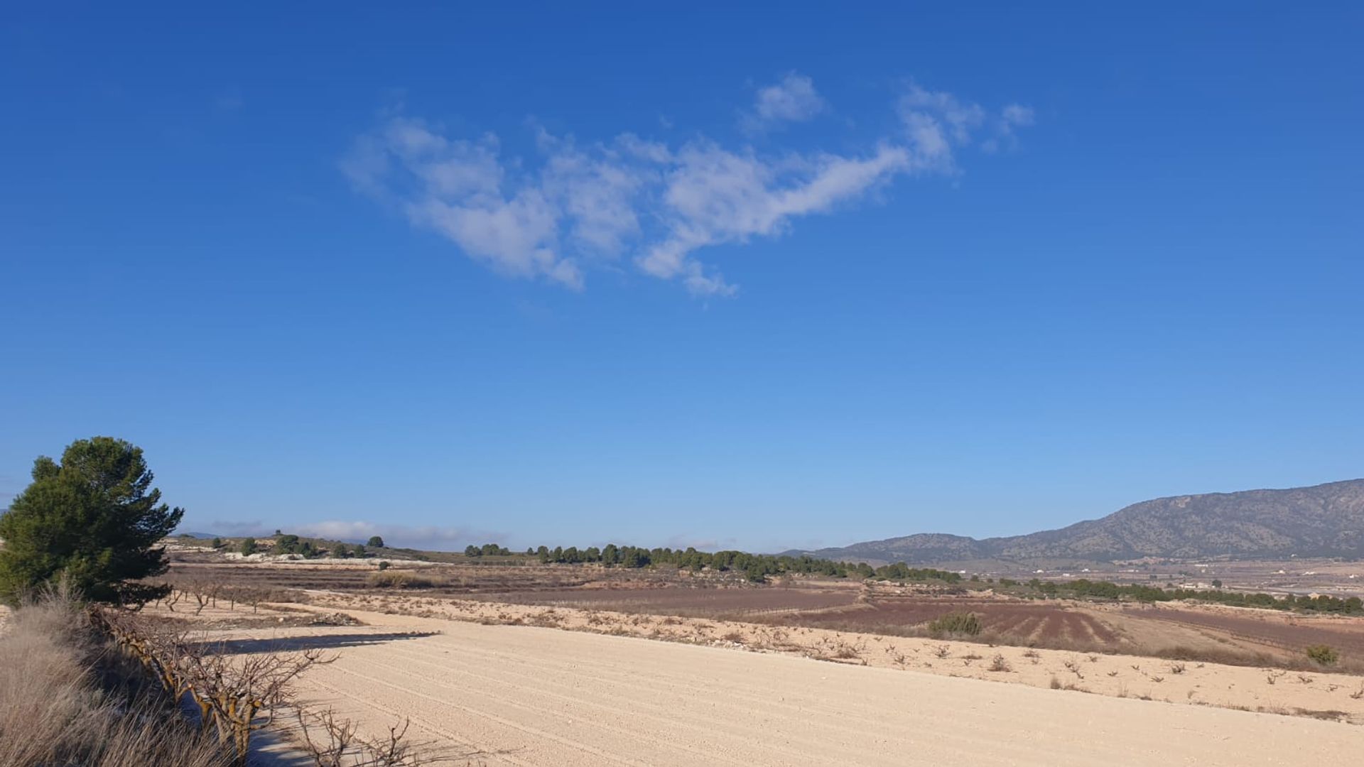 Tanah di Pinoso, Comunidad Valenciana 10723624