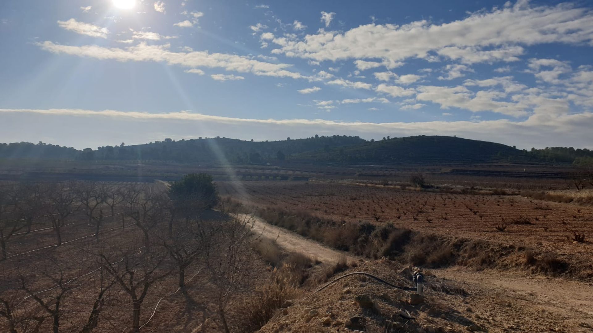 Tanah di Pinoso, Comunidad Valenciana 10723624