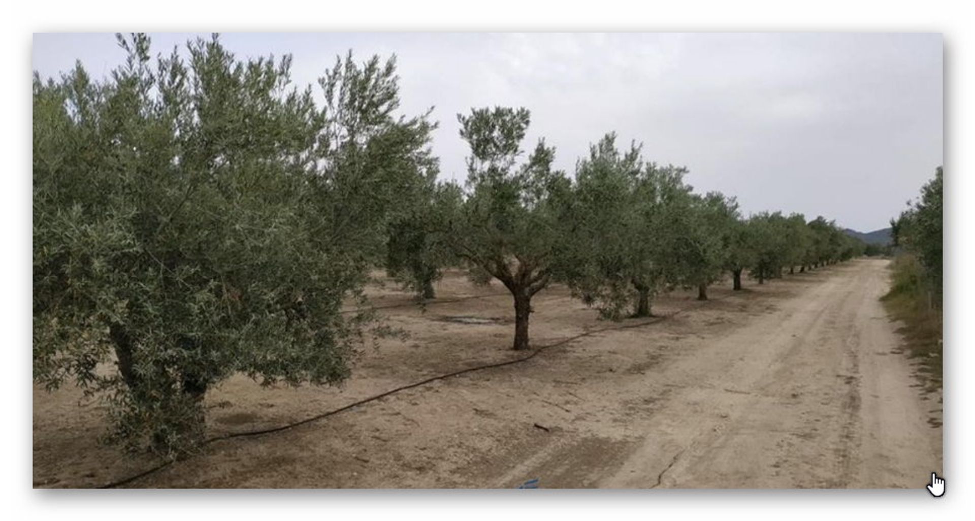 casa no Toledo, Castile-La Mancha 10723630