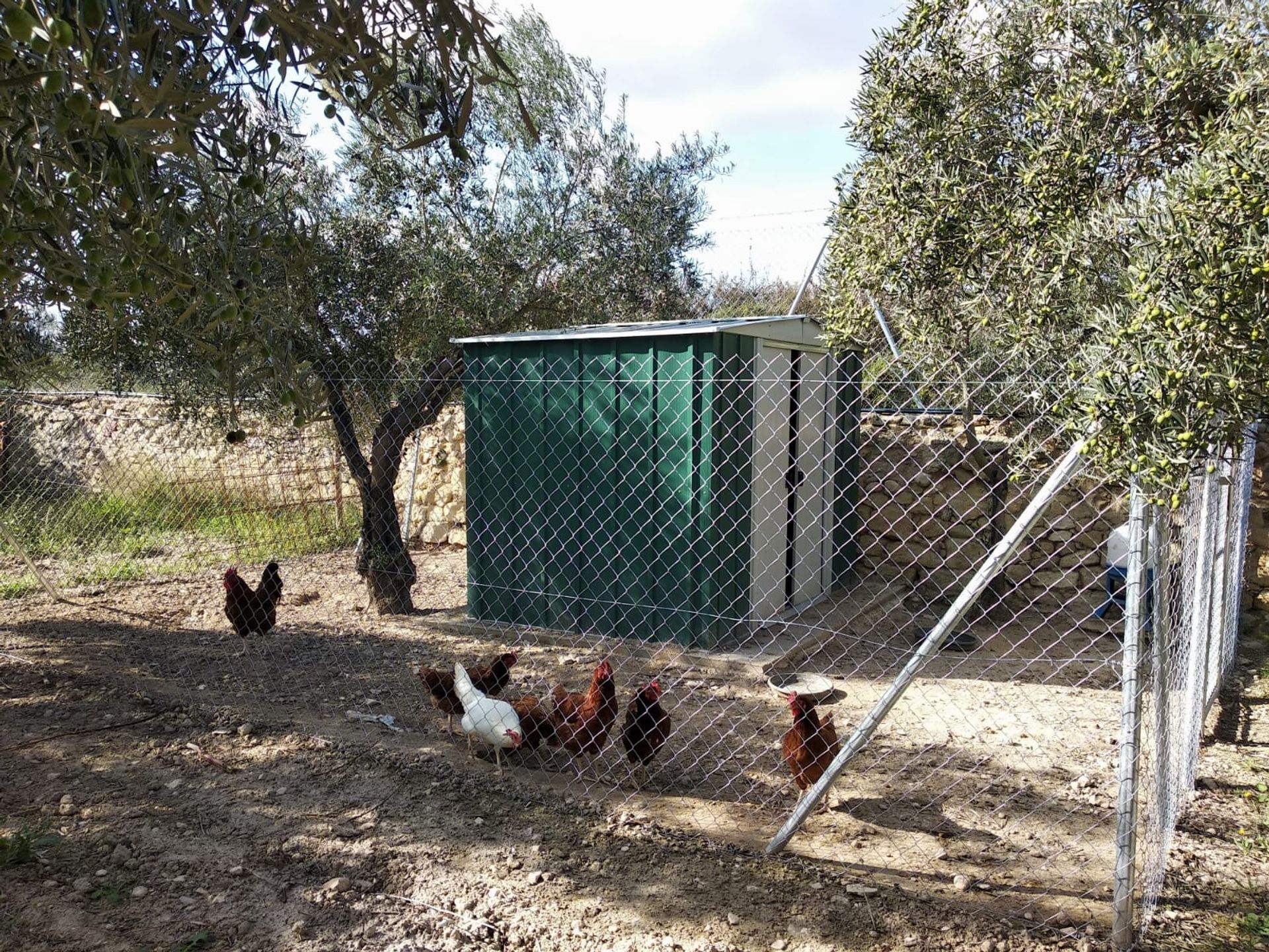 Casa nel Saix, Comunidad Valenciana 10723668