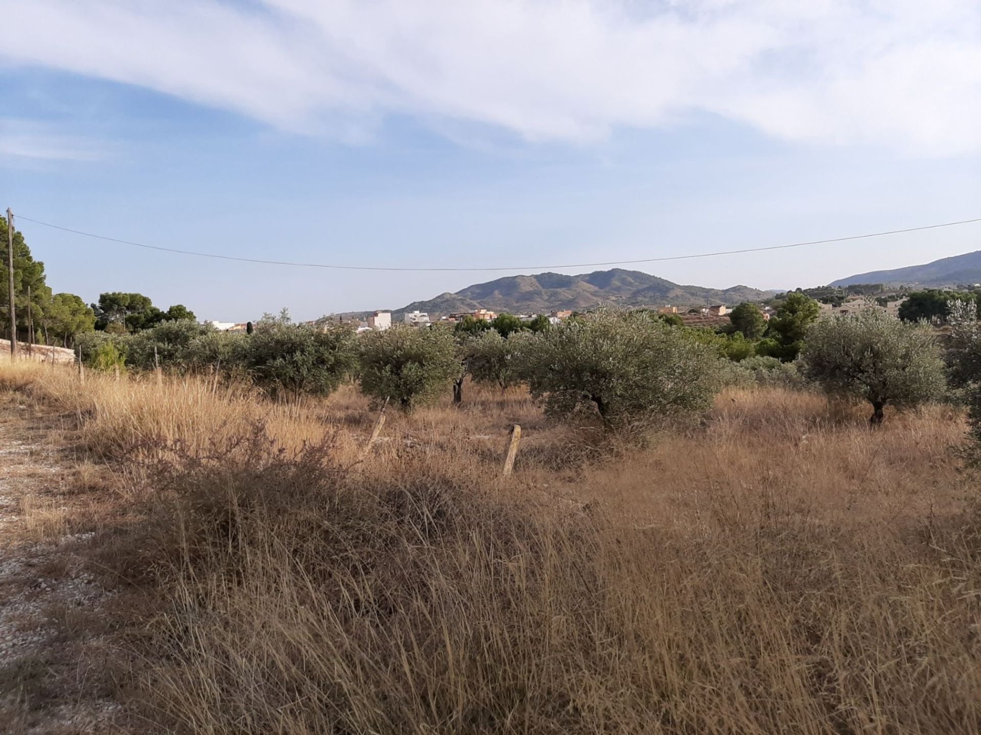 casa en Casas del Señor, Valencia 10723747