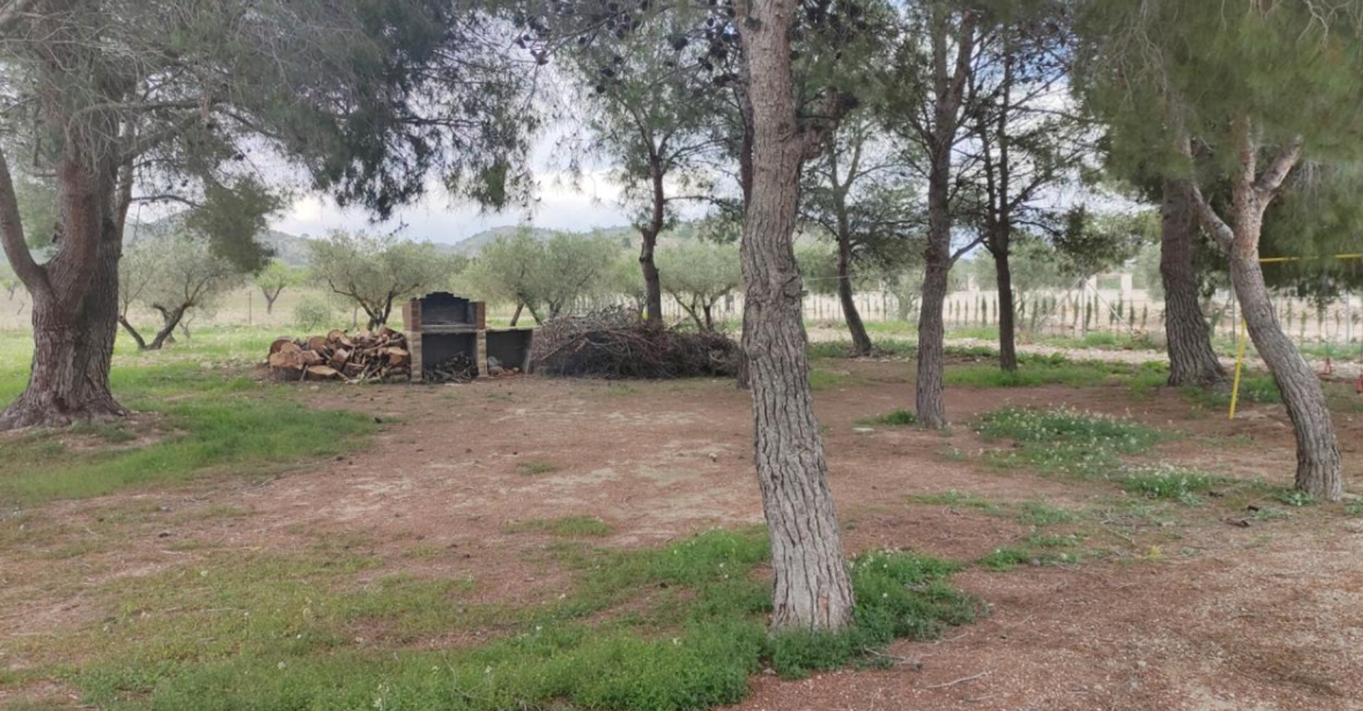 casa en les Salines d'Elda, Comunidad Valenciana 10723752