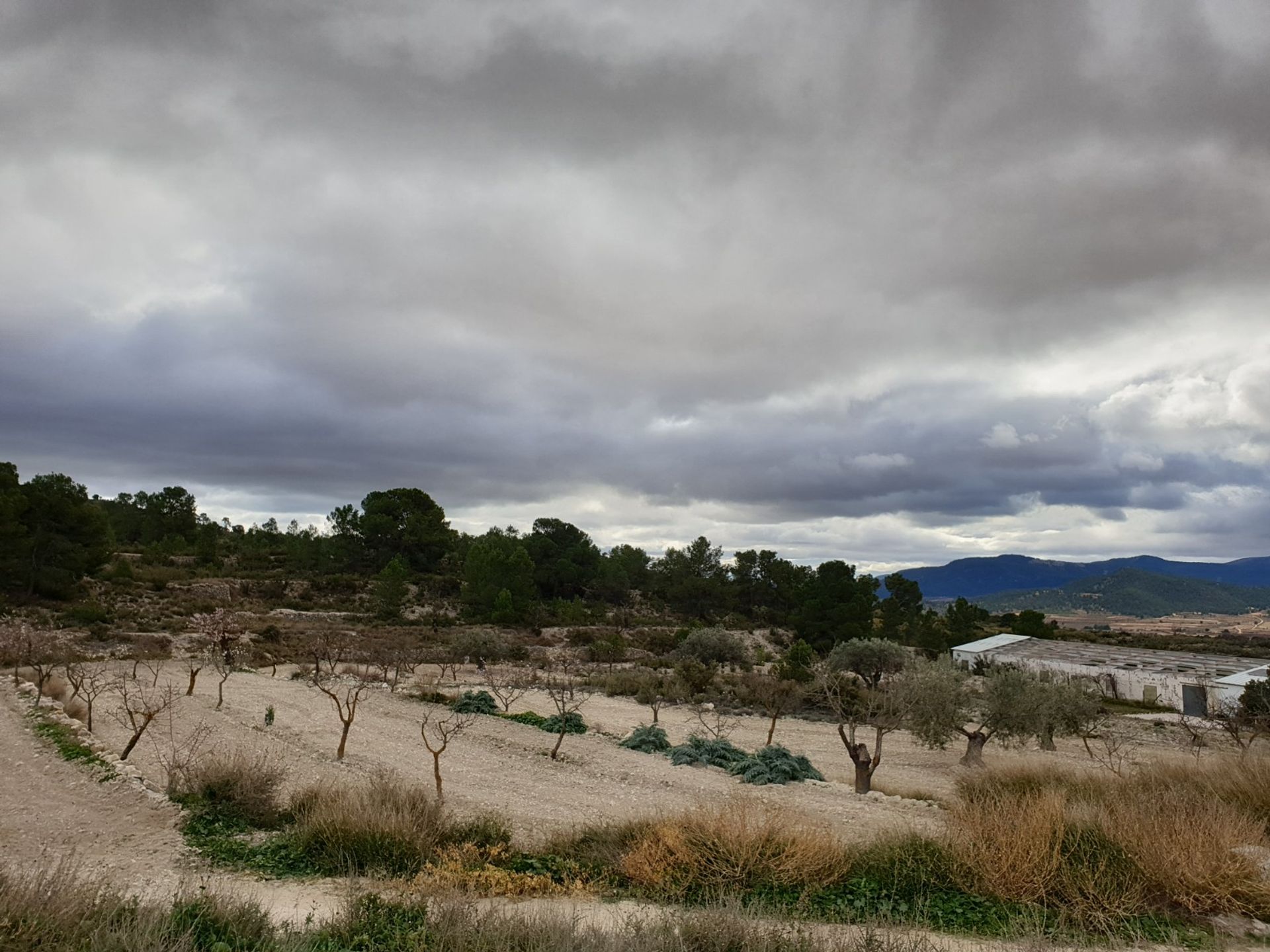 σπίτι σε , Valencian Community 10723803