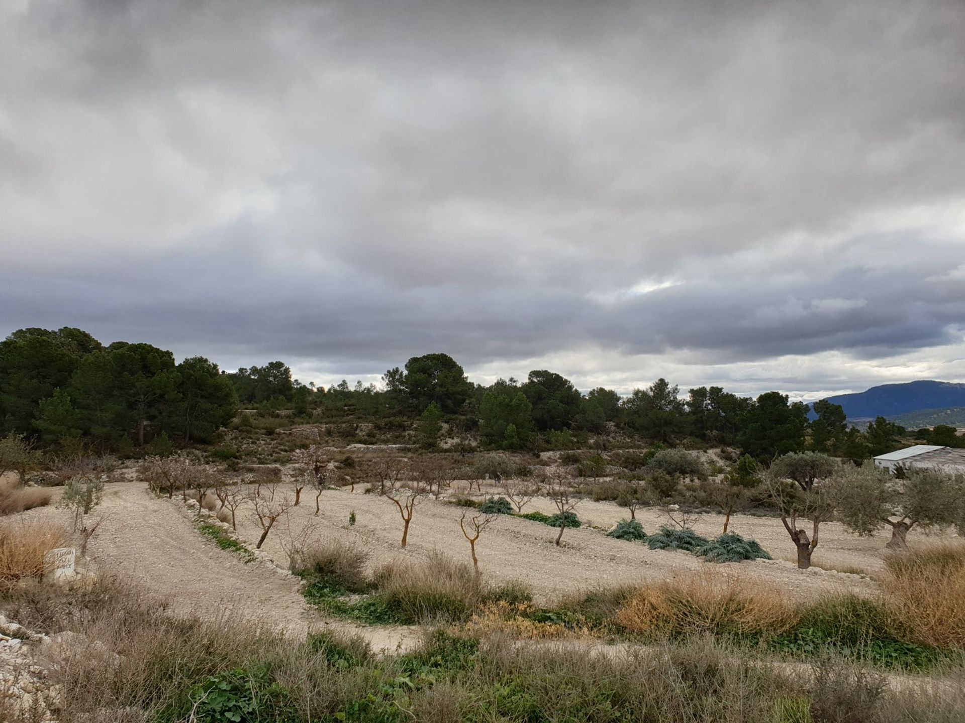 σπίτι σε , Valencian Community 10723803