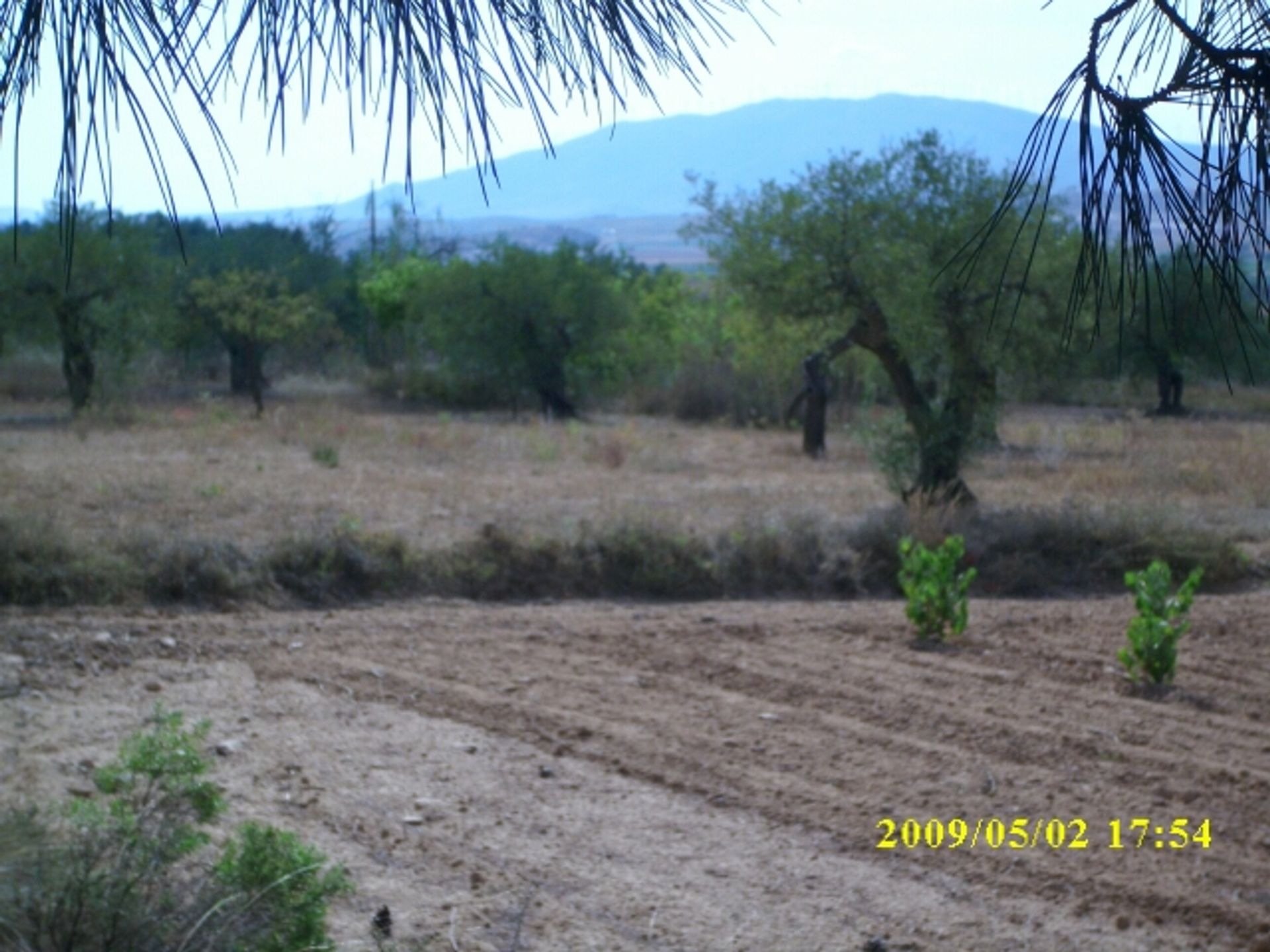 Tanah di Villena, Comunidad Valenciana 10723812