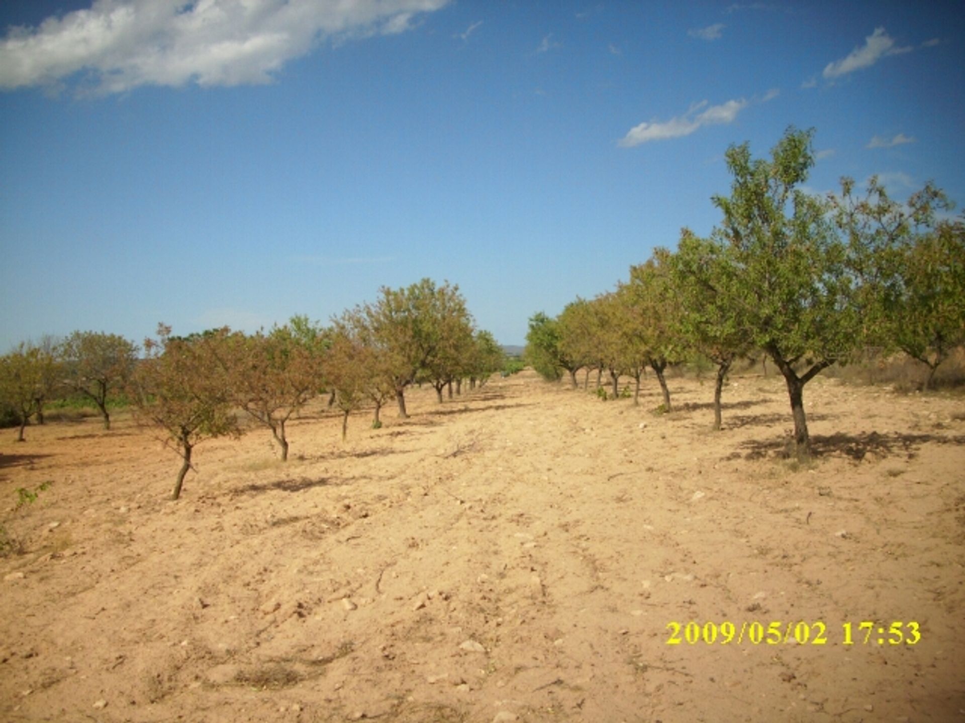 Tanah di Villena, Comunidad Valenciana 10723812