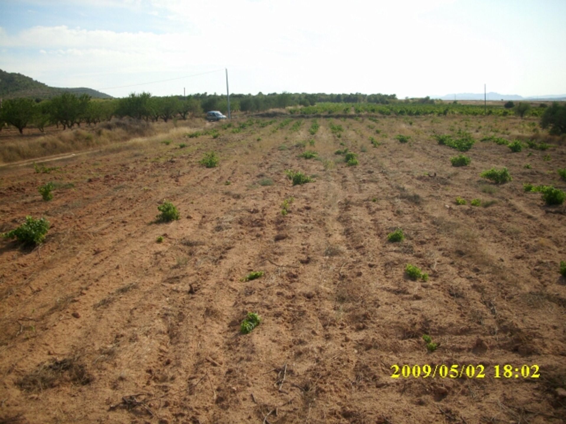 Land in Villena, Valencia 10723812