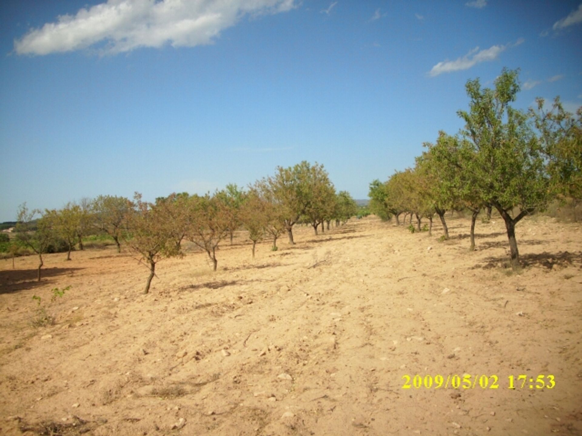 Tanah di Villena, Comunidad Valenciana 10723812