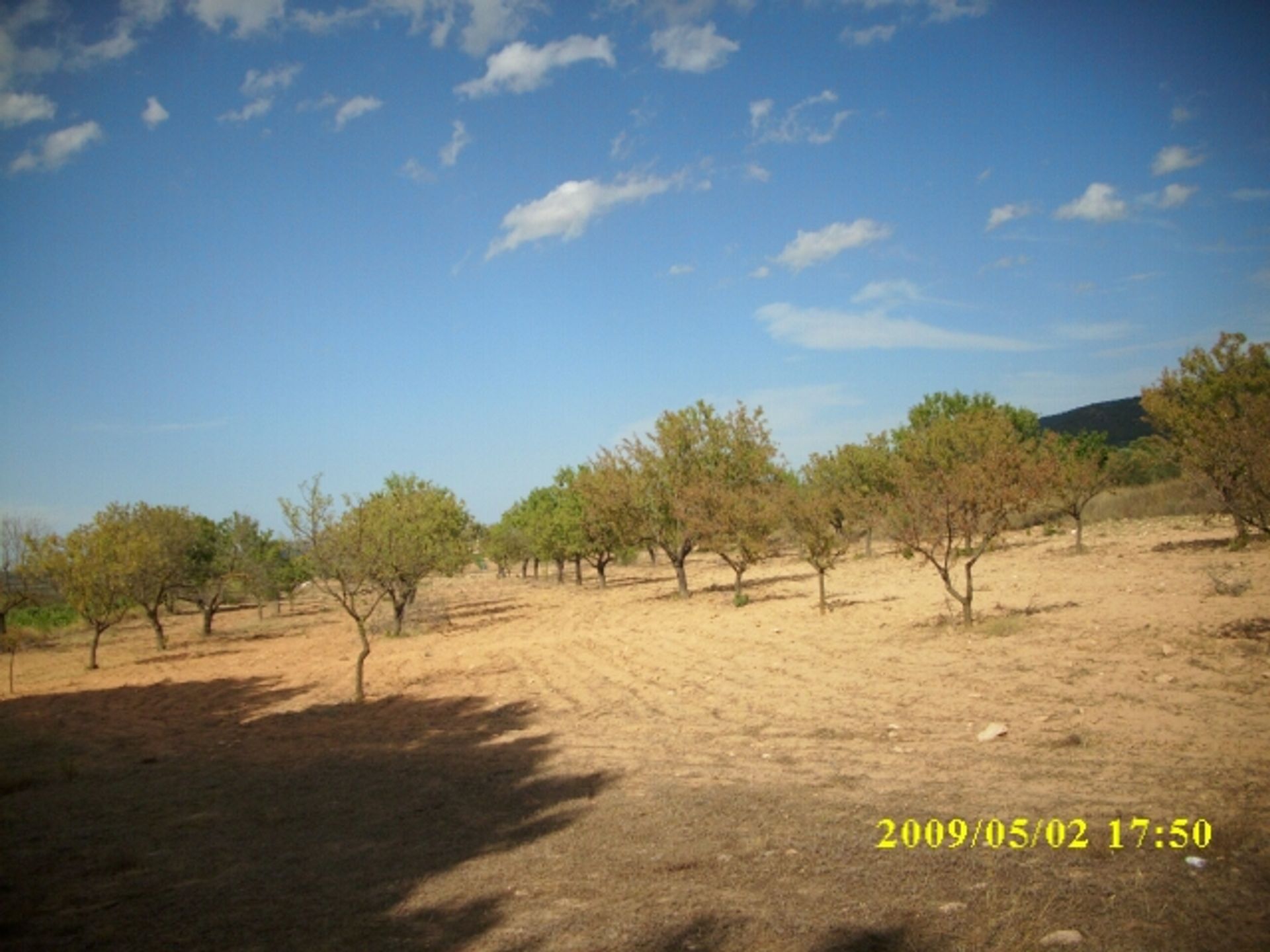 Tanah di Villena, Comunidad Valenciana 10723812