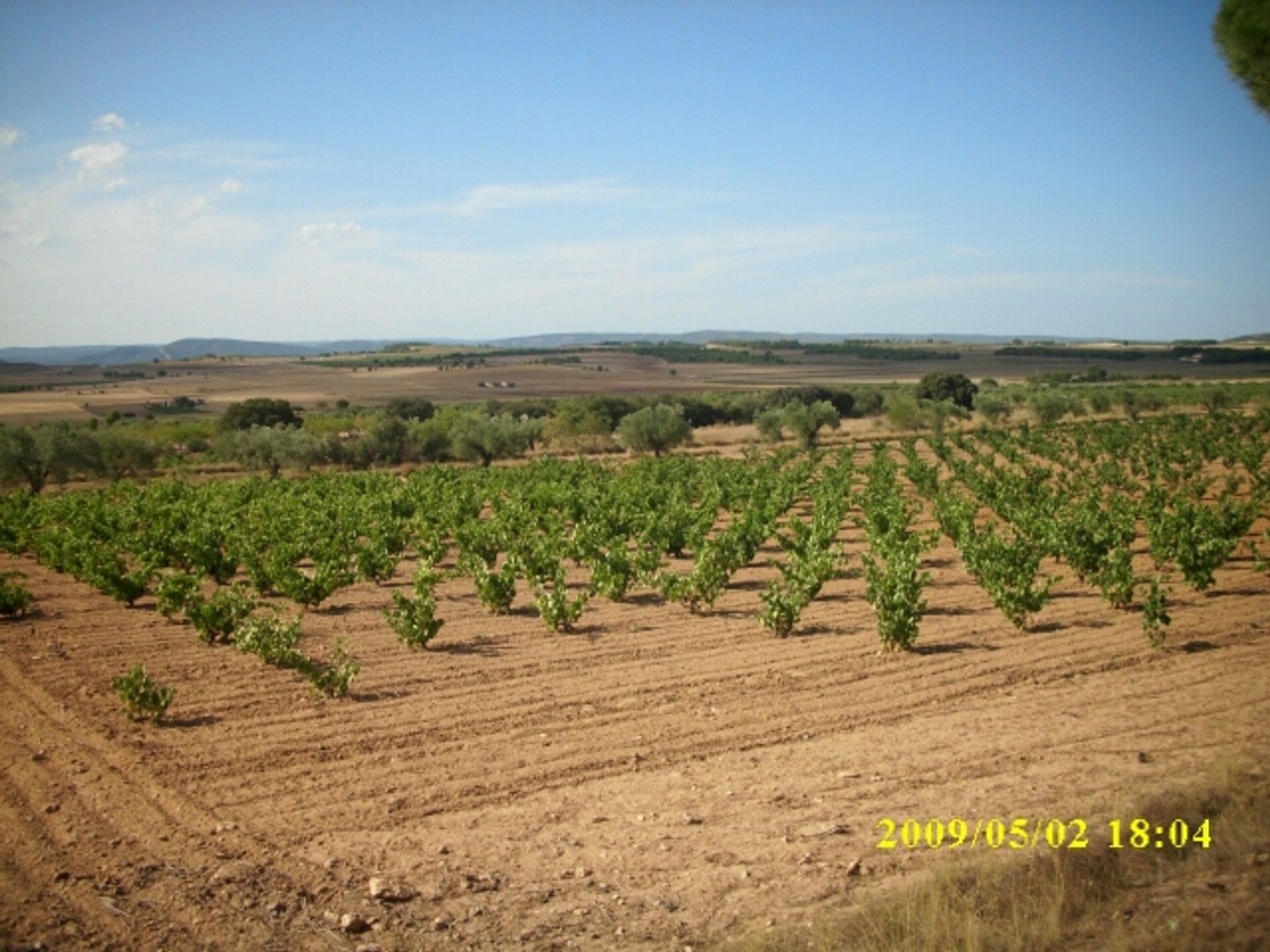 Tanah di Villena, Comunidad Valenciana 10723812