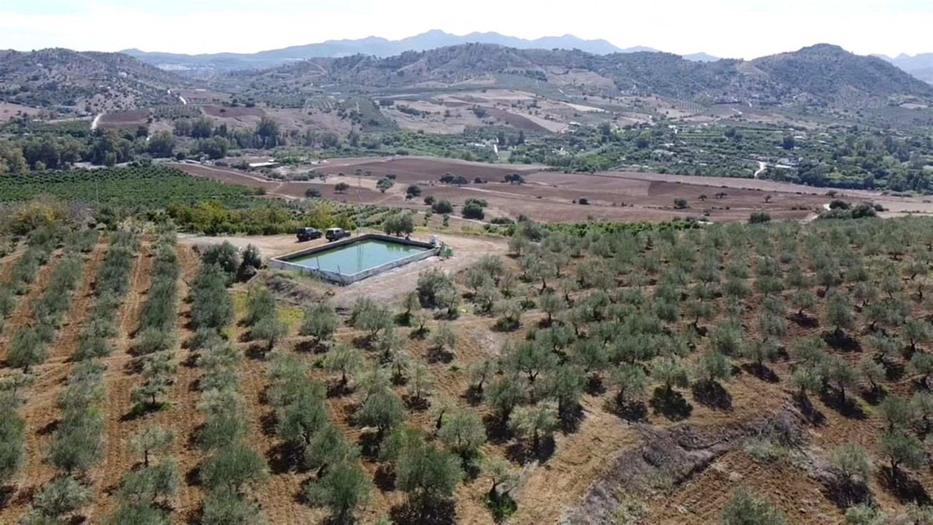 土地 在 Coín, Andalucía 10723847