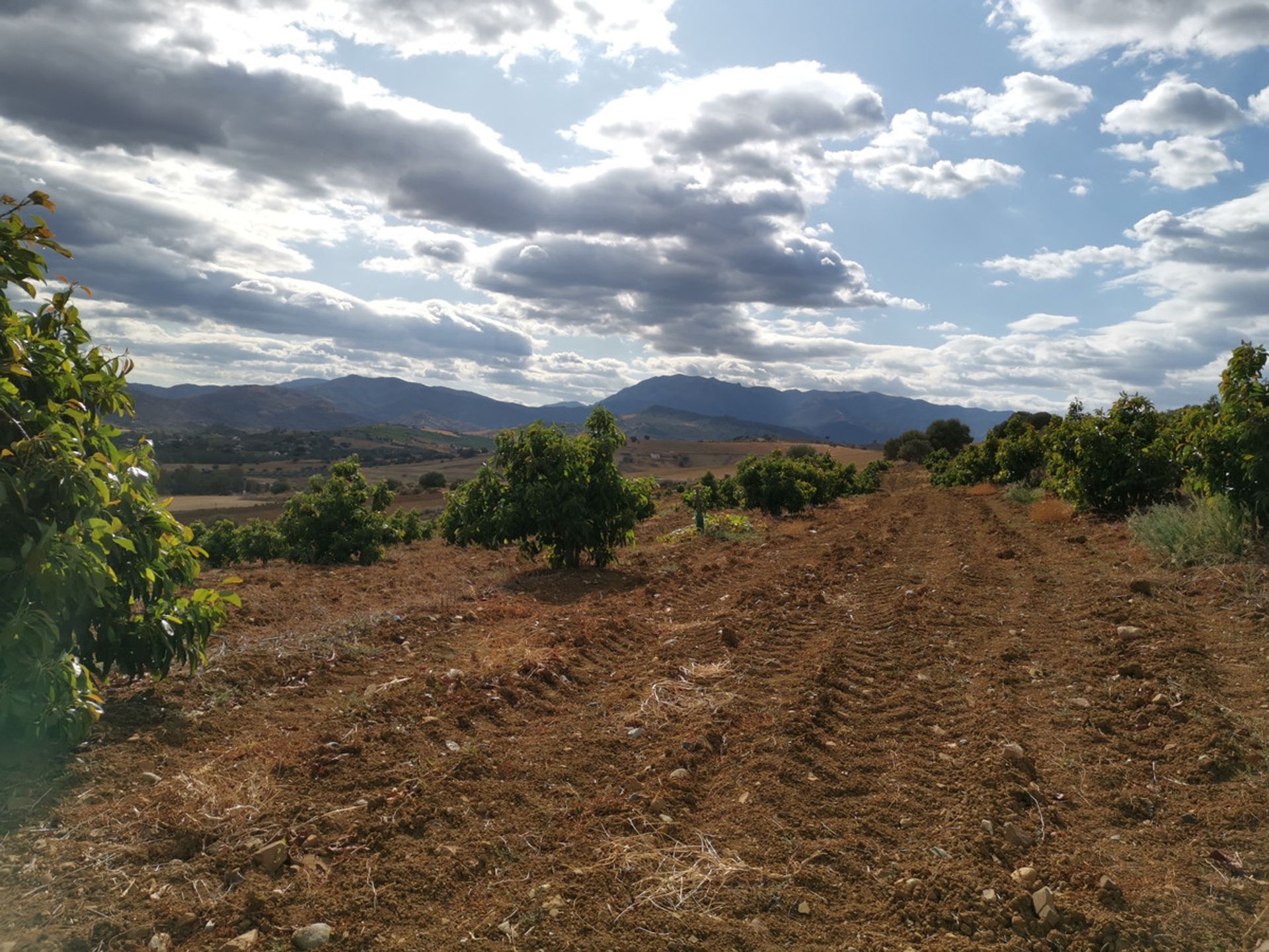 Land in Munt, Andalusië 10723847