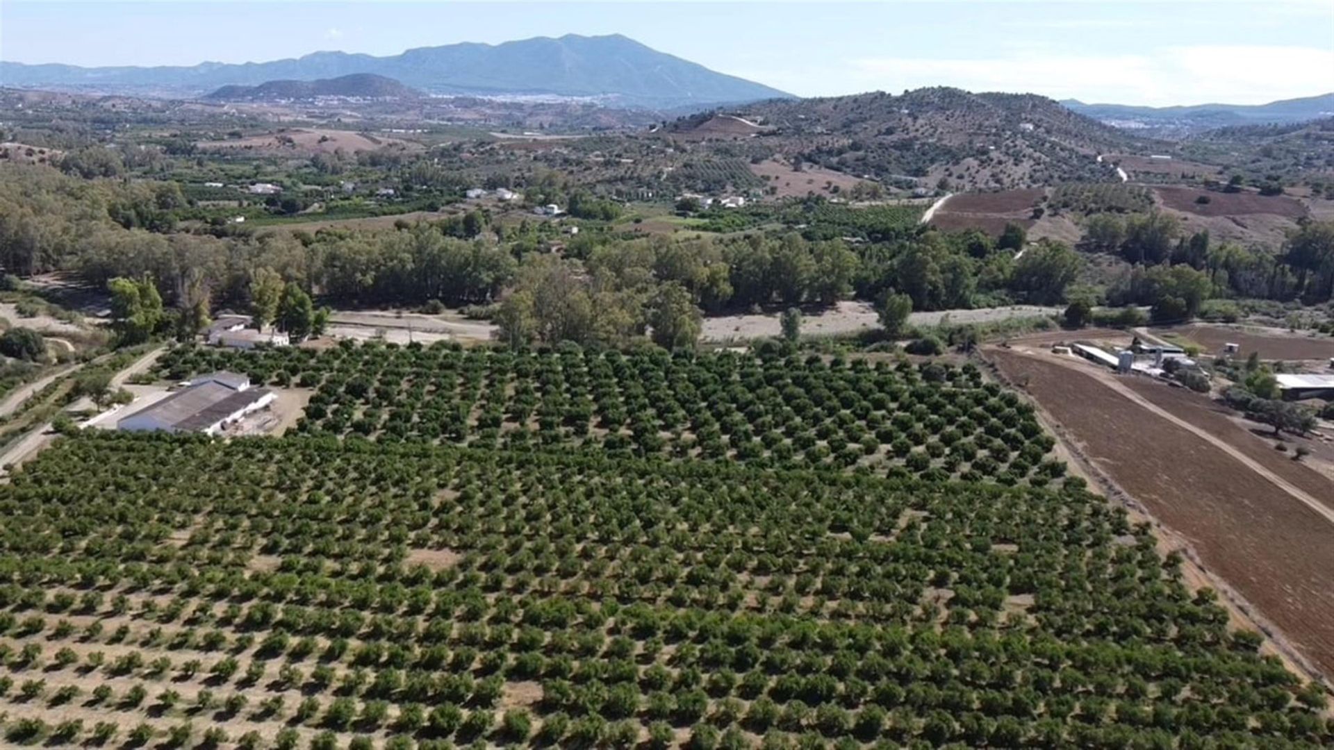 土地 在 Coín, Andalucía 10723847