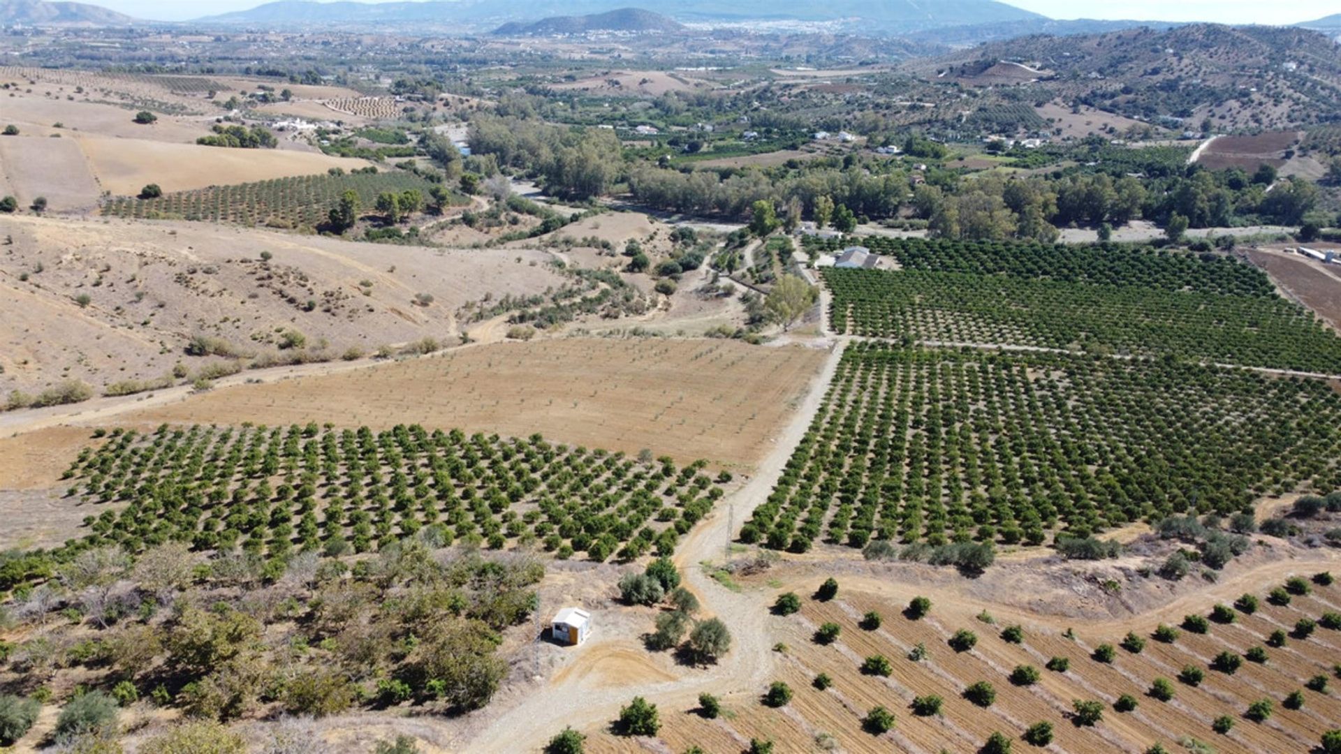 土地 在 Coín, Andalucía 10723847