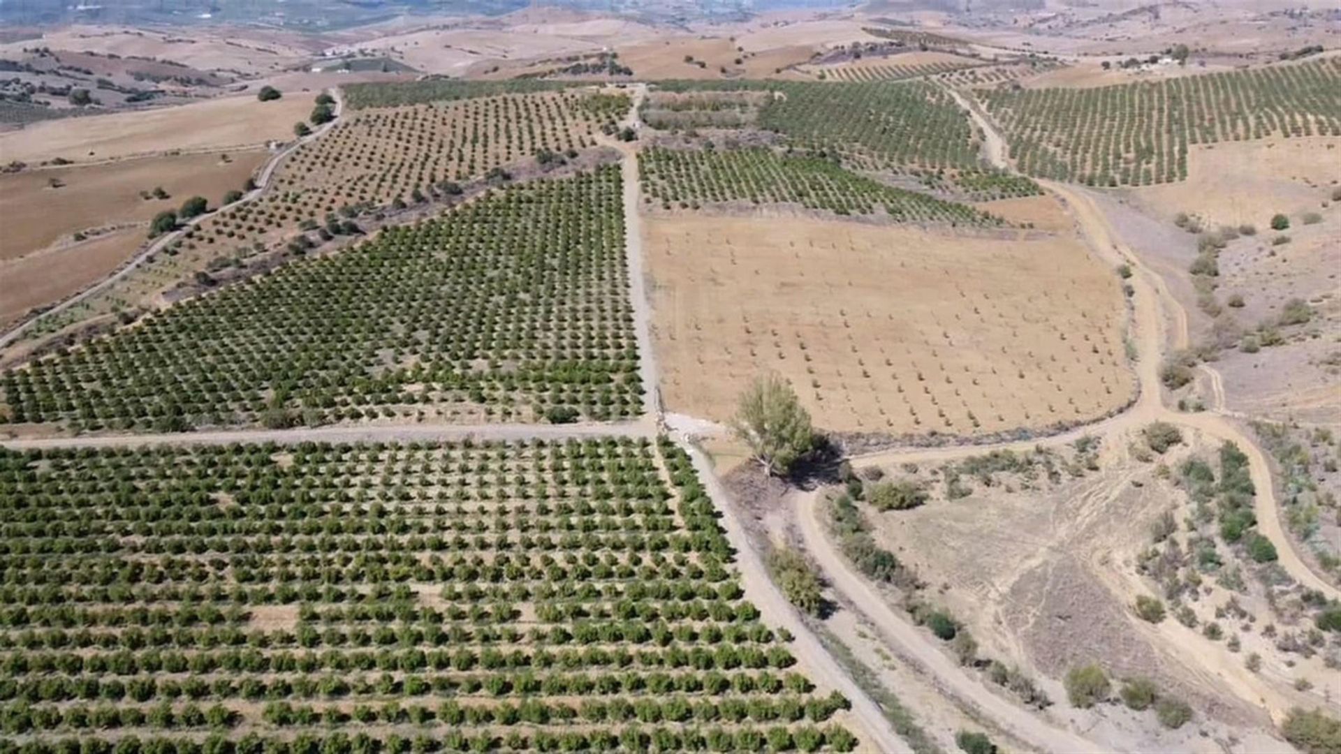 土地 在 Coín, Andalucía 10723847