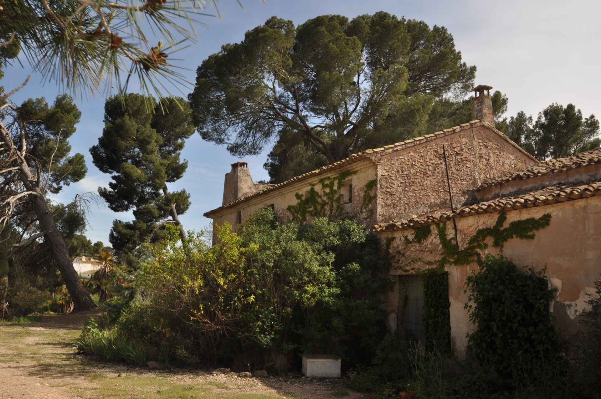 σπίτι σε Yecla, Región de Murcia 10723859