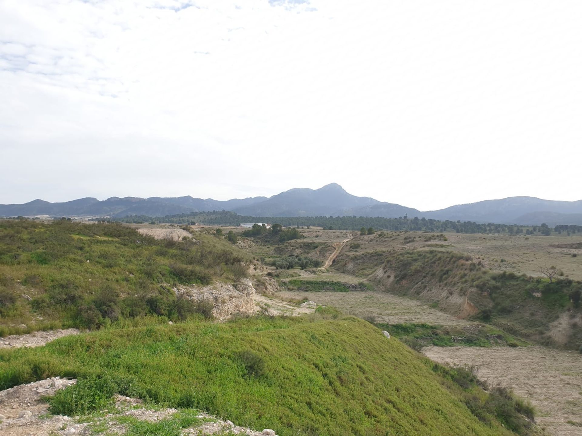 жилой дом в Jumilla, Región de Murcia 10723861