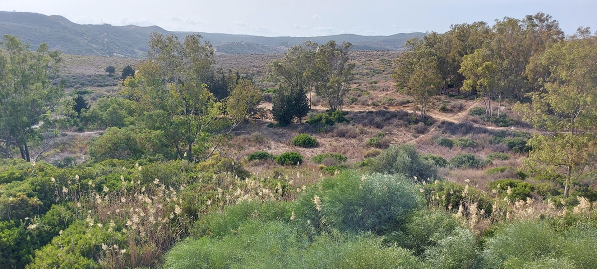 Haus im Castillo de Sabinillas, Andalusien 10723870