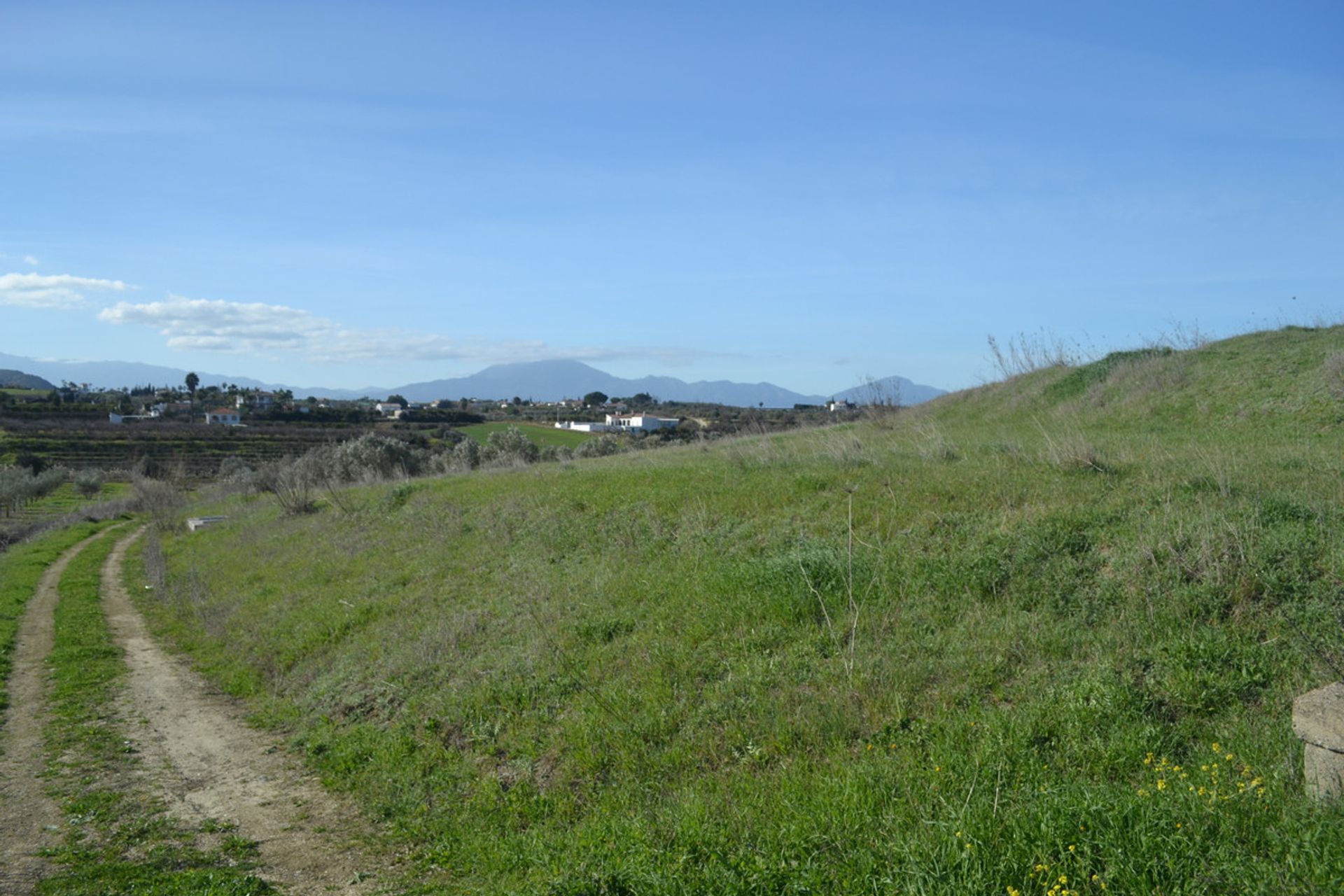 Land in Alhaurín el Grande, Andalucía 10723876