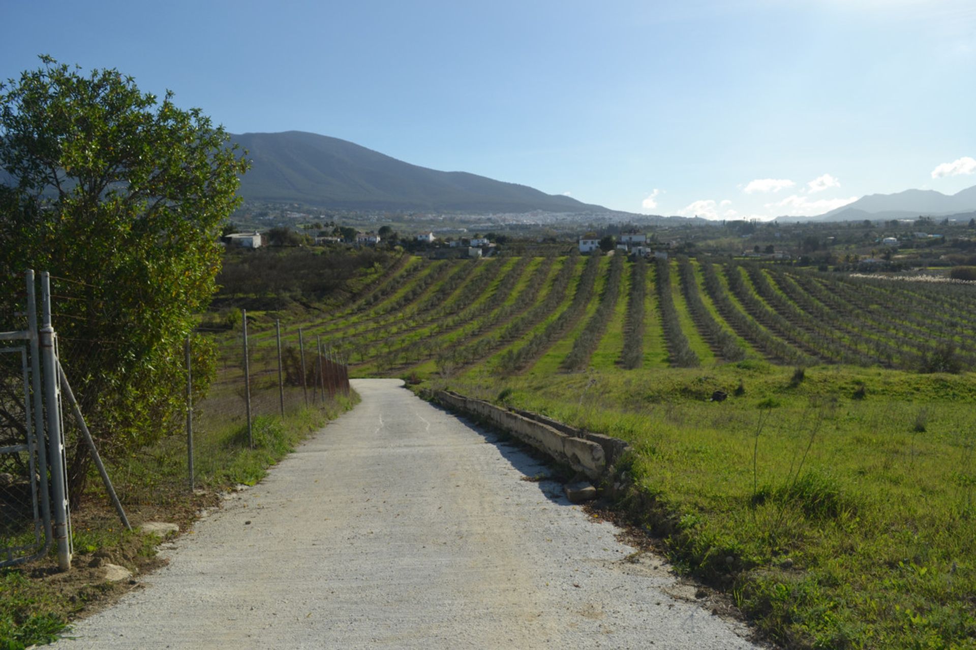 Land in Alhaurín el Grande, Andalucía 10723876