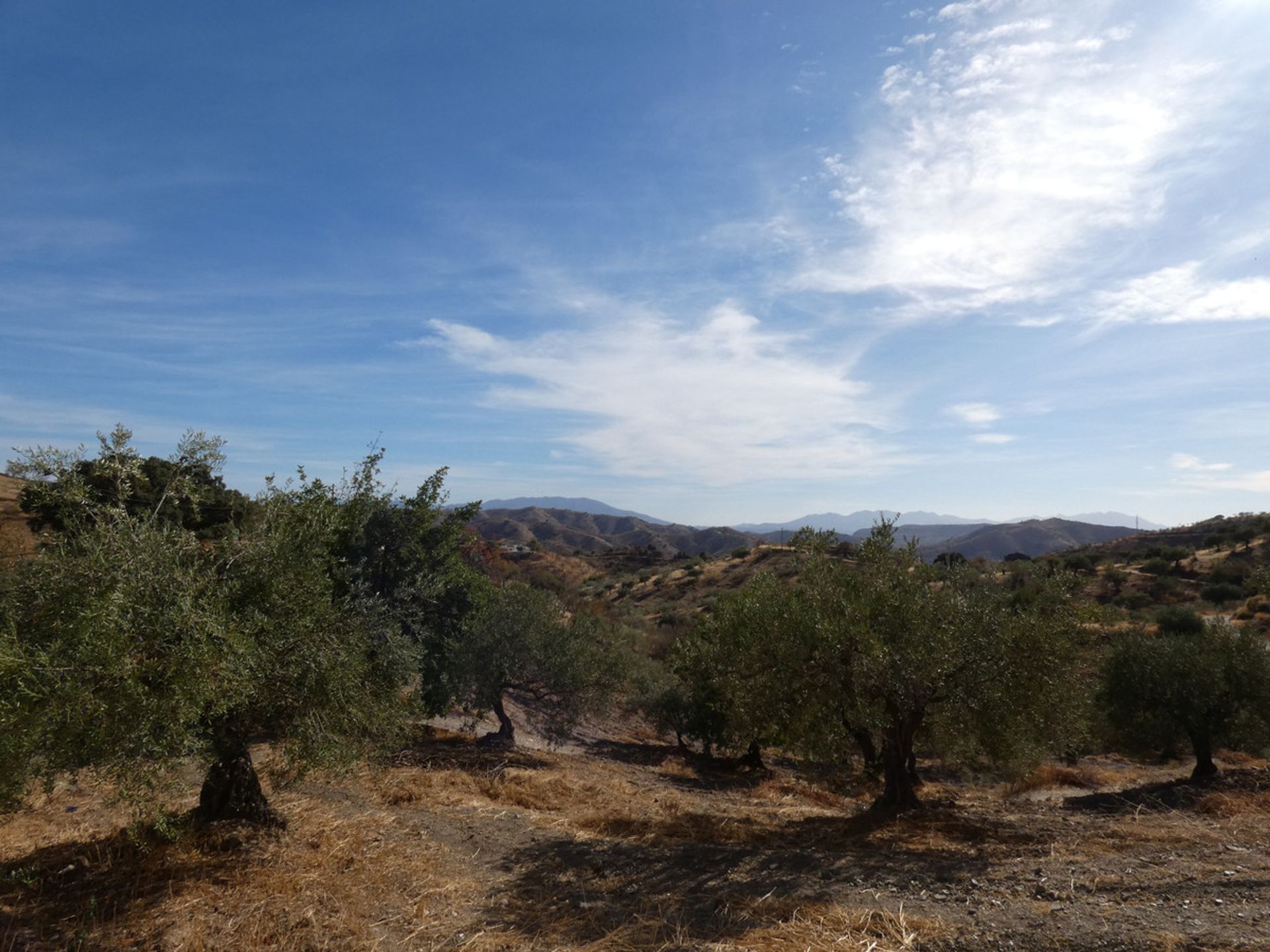 Hus i Álora, Andalucía 10724005