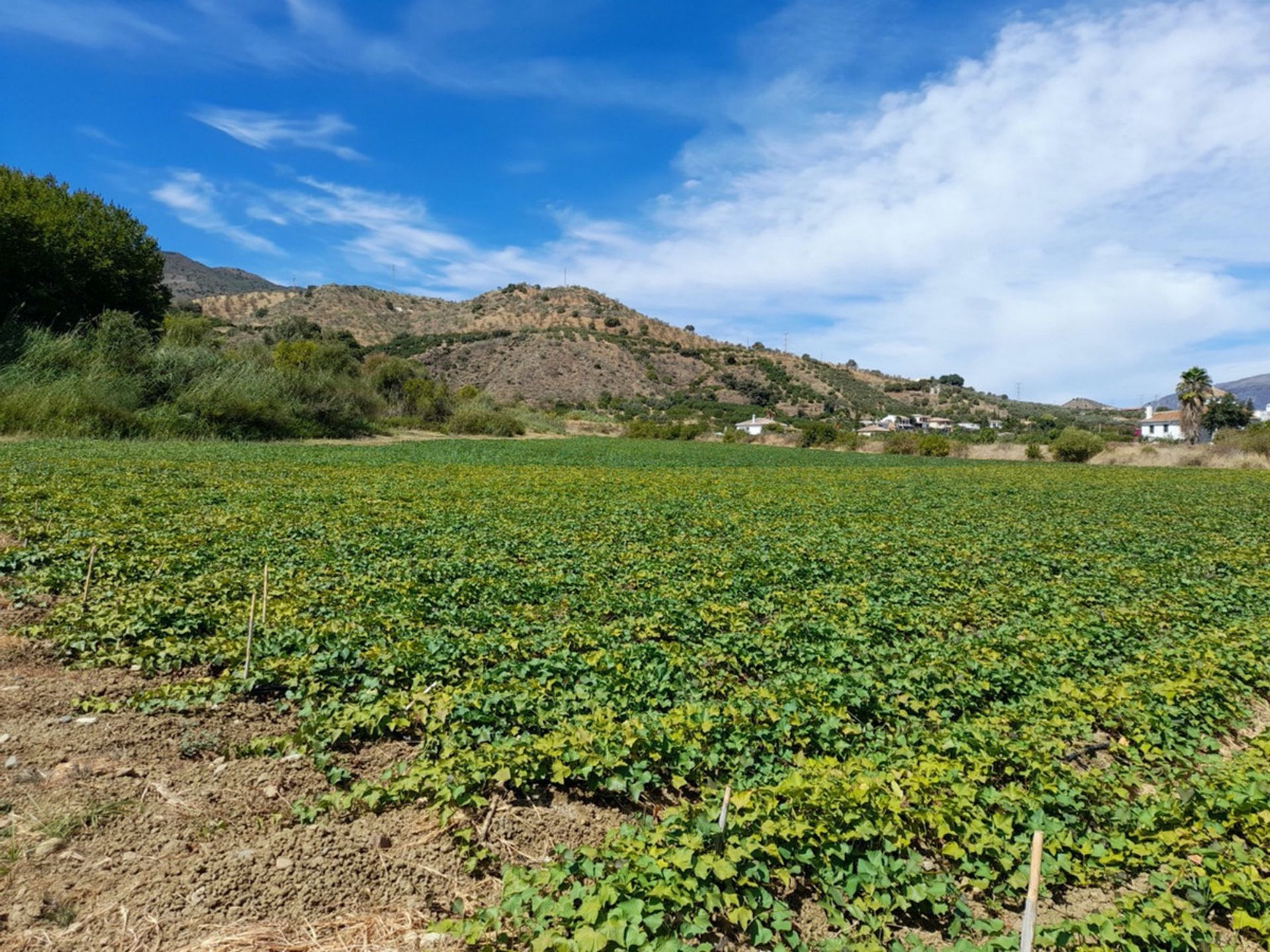 Talo sisään Álora, Andalucía 10724020