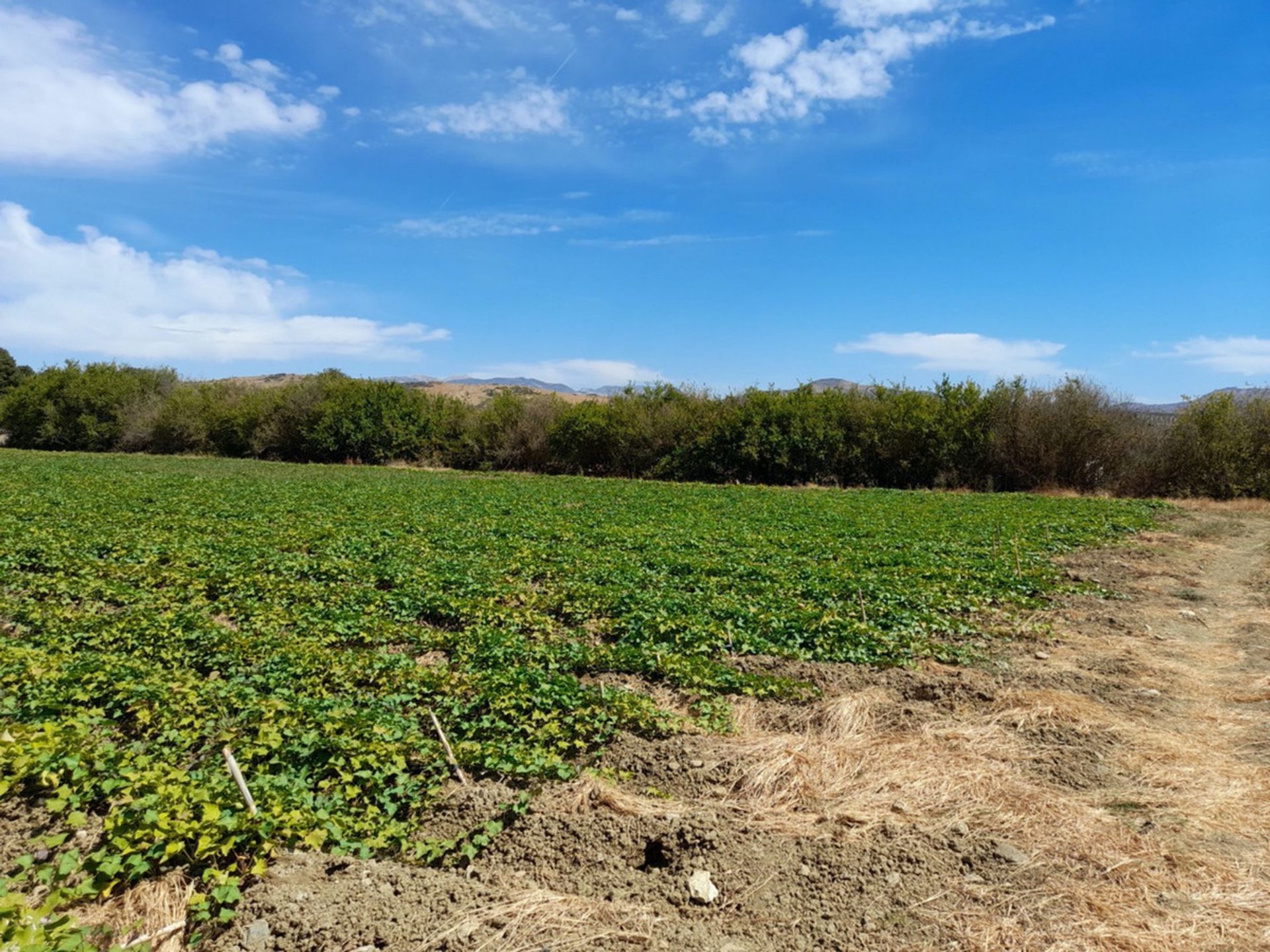 Talo sisään Álora, Andalucía 10724020