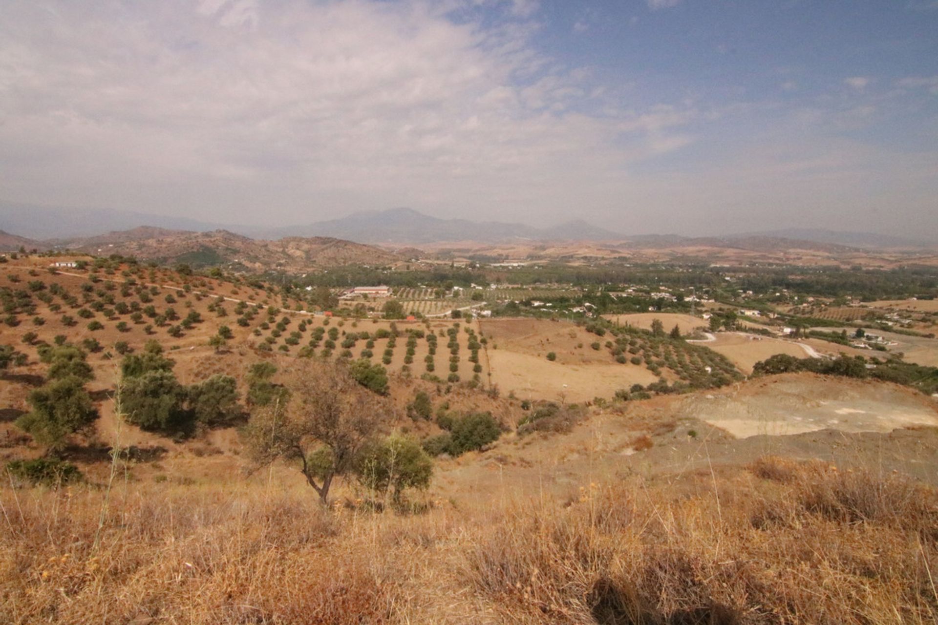 Land im Coín, Andalucía 10724029