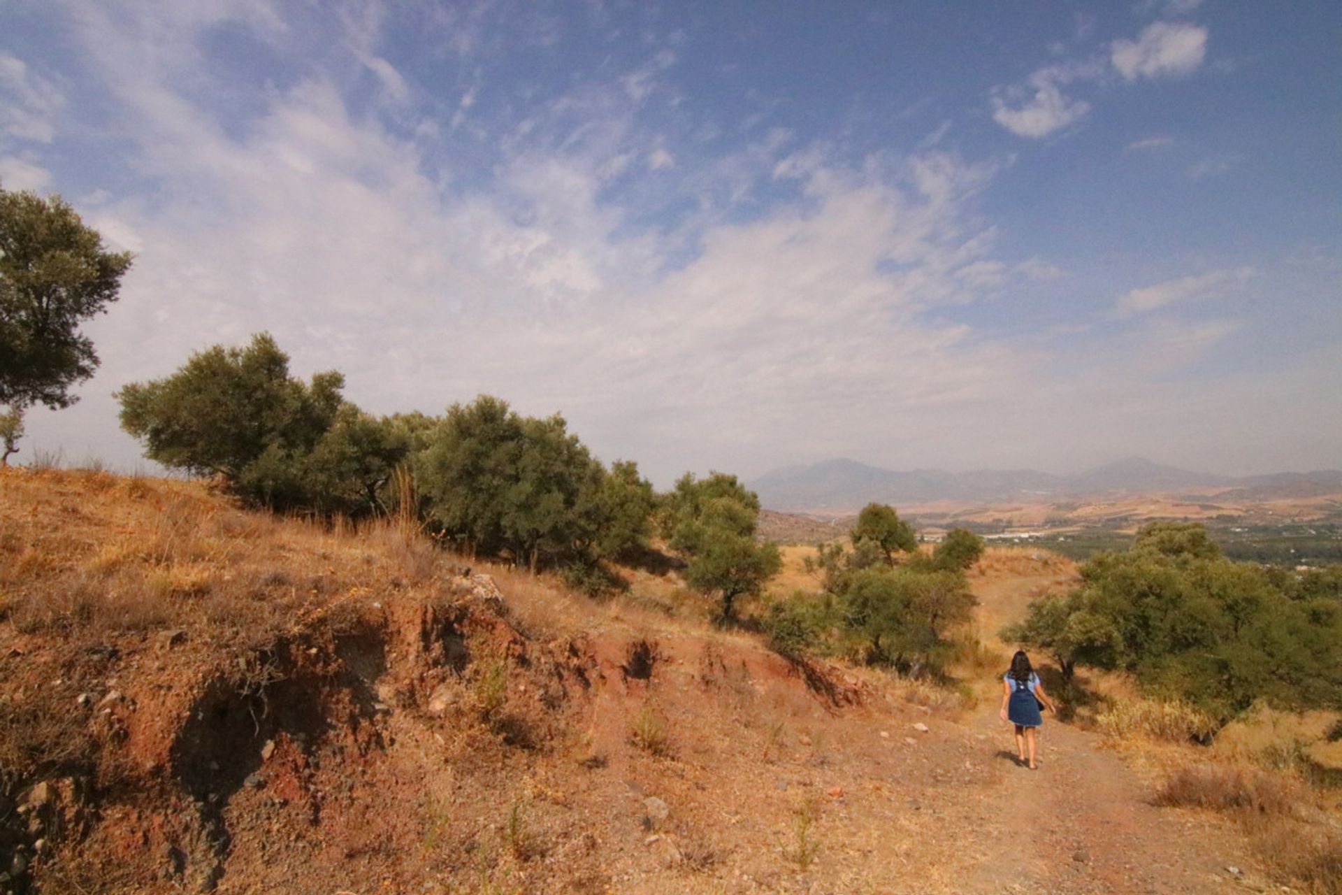 Land im Coín, Andalucía 10724029