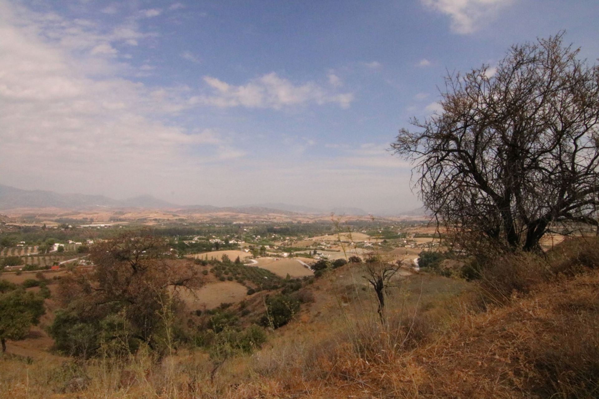 Land im Coín, Andalucía 10724029