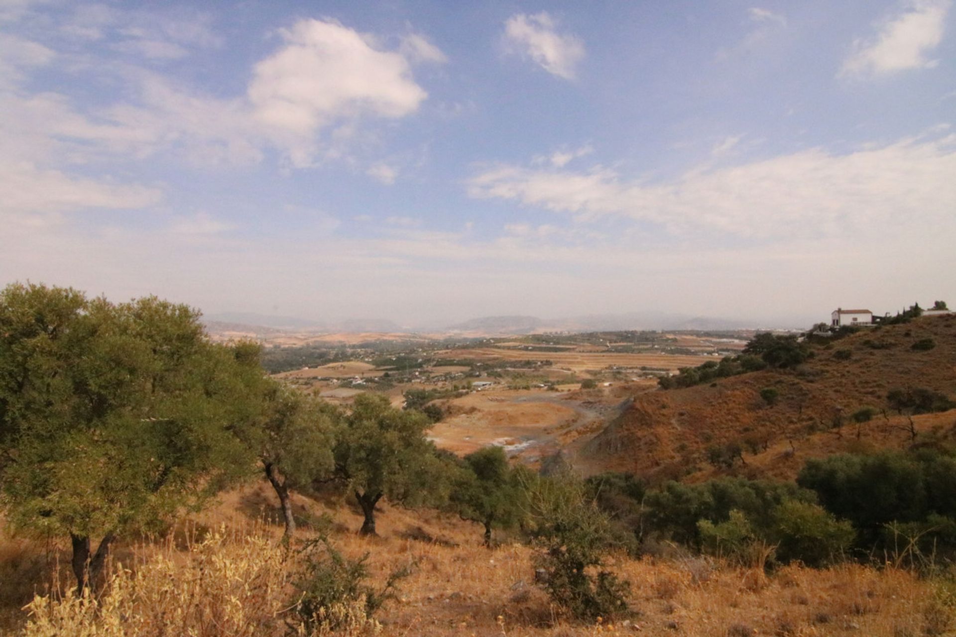 Land im Coín, Andalucía 10724029