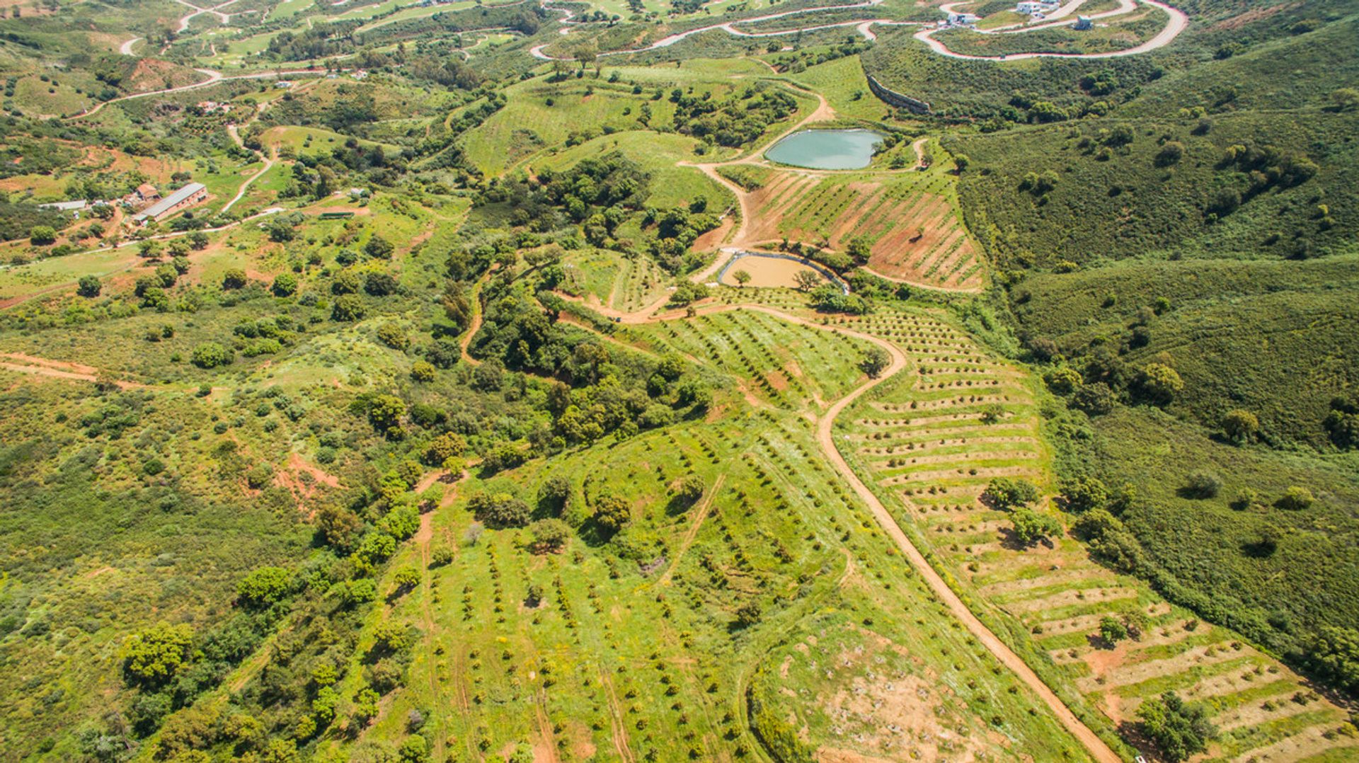 Sbarcare nel Mijas, Andalucía 10724073