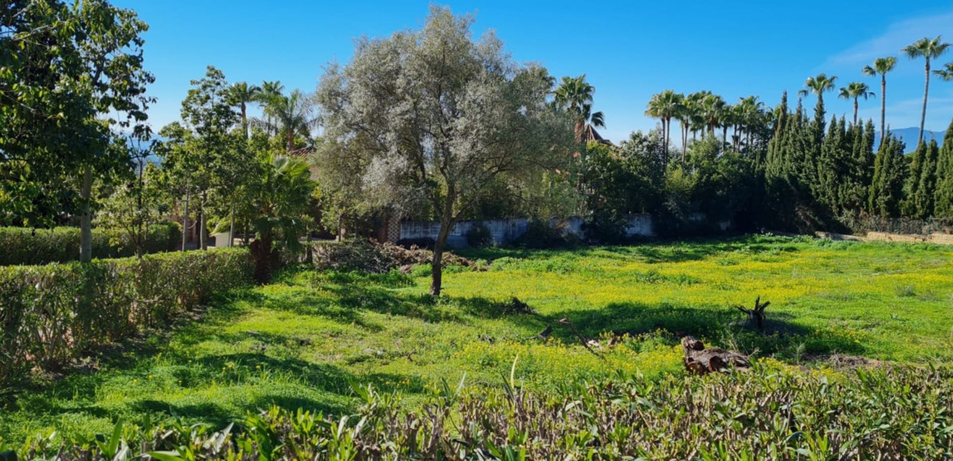 Tierra en marbella, Andalucía 10724124