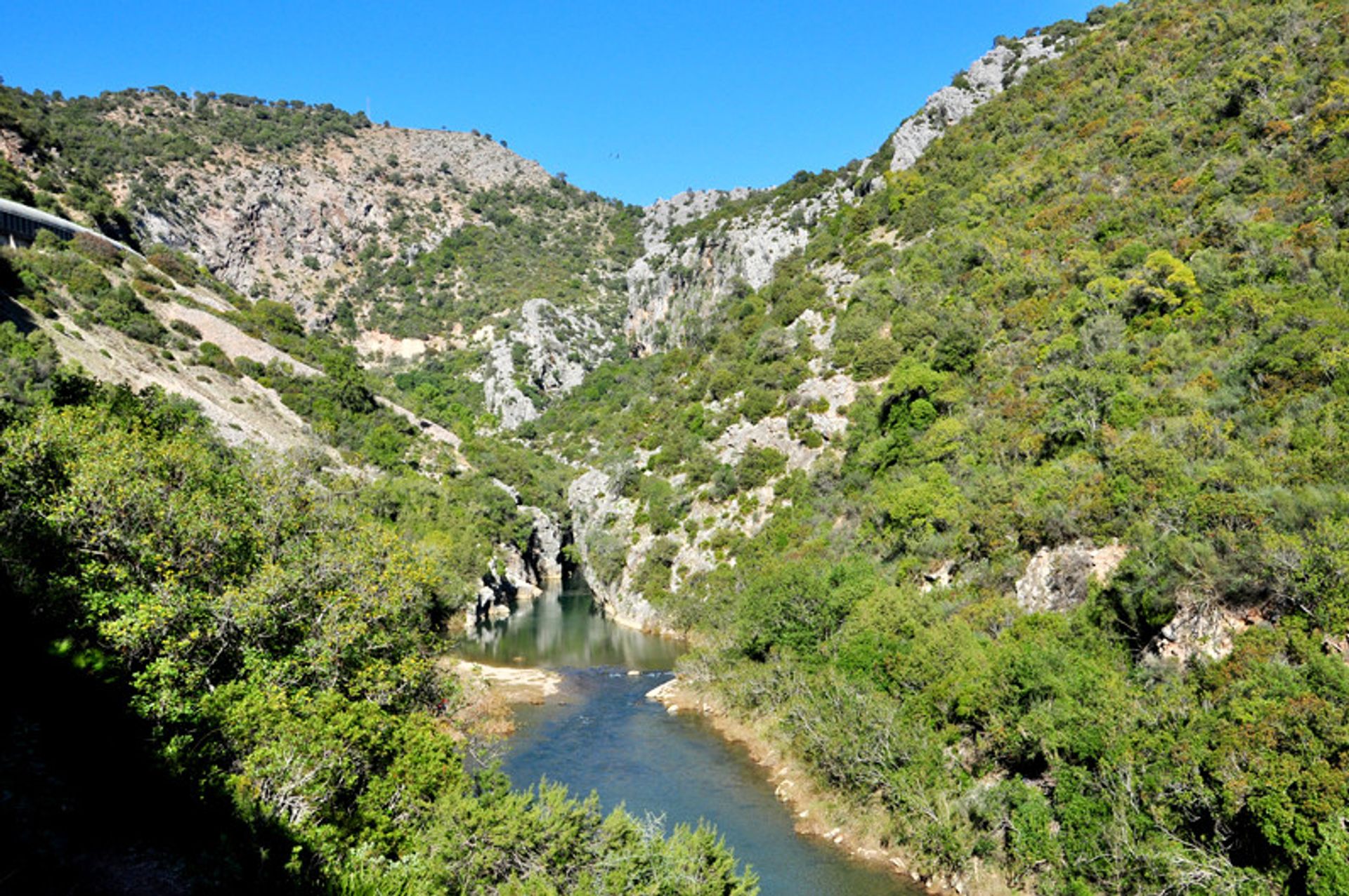 Terre dans Cortes de la Frontera, Andalucía 10724178