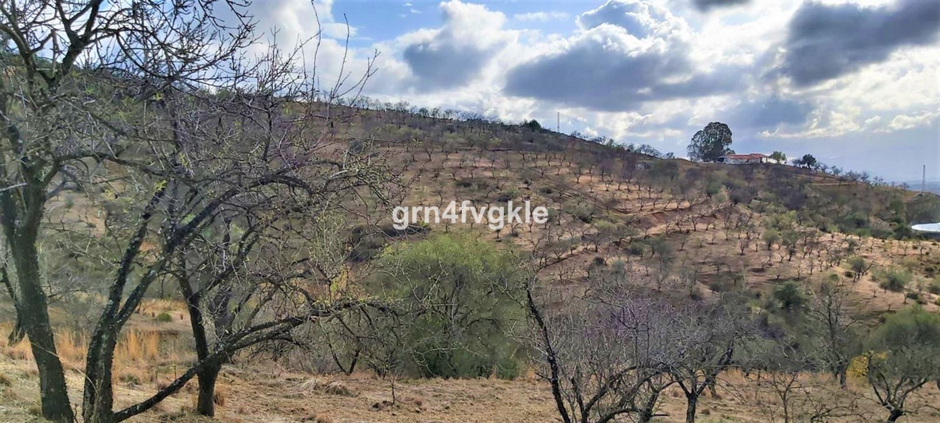 жилой дом в Casarabonela, Andalucía 10724196