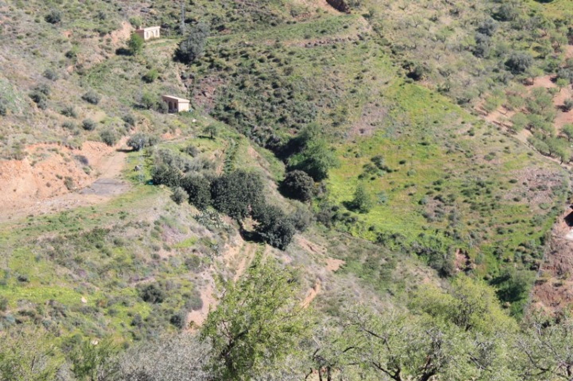 Tanah di El Borge, Andalucía 10724212