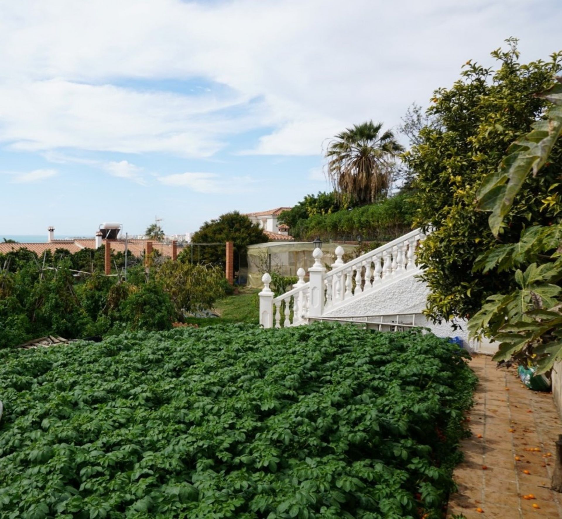 Talo sisään Vélez-Málaga, Andalucía 10724222