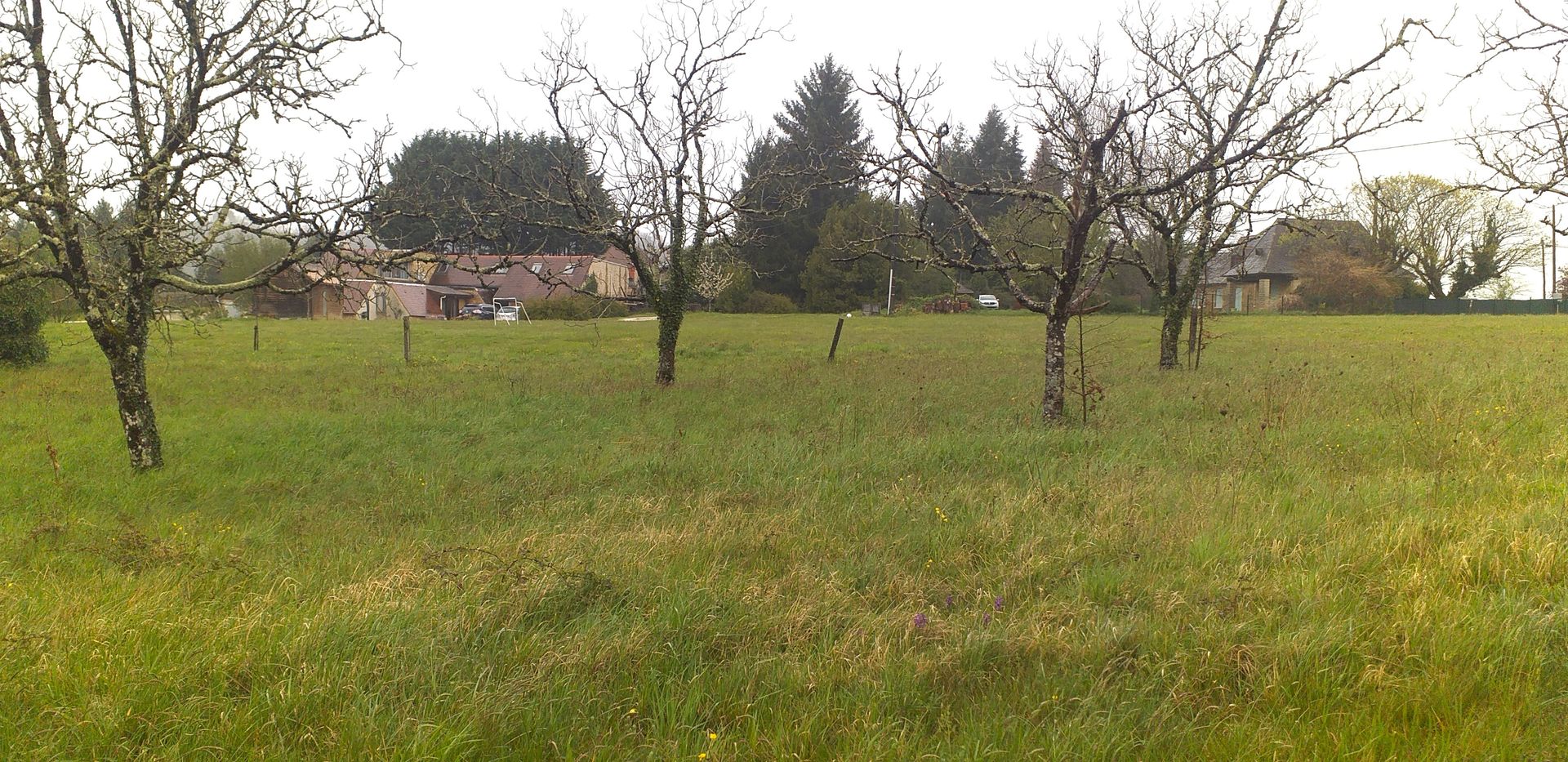 Land im Sarlat-la-Canéda, Nouvelle-Aquitaine 10724478