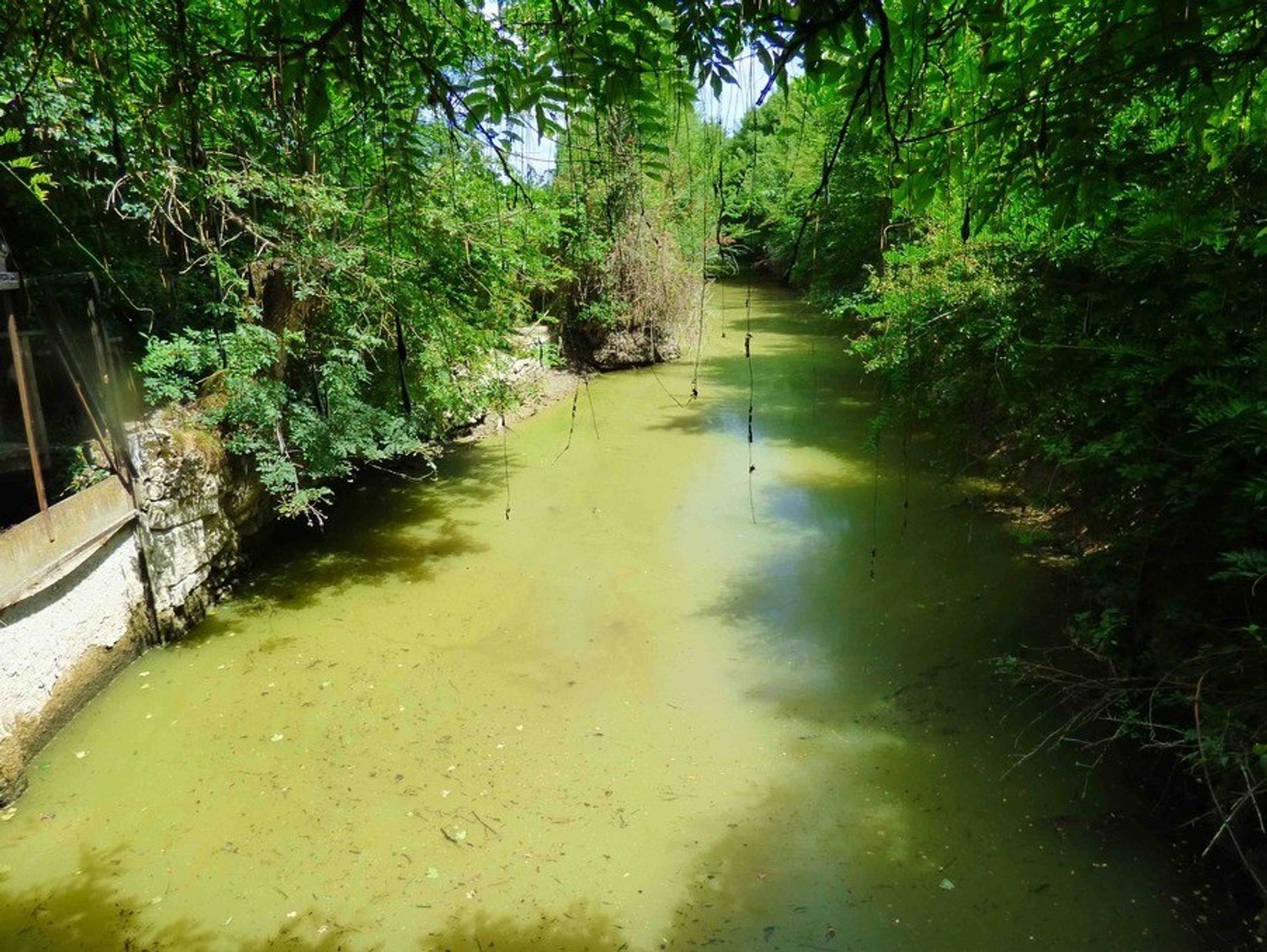 Rumah di Sainte-Radegonde, Nouvelle-Aquitaine 10724479