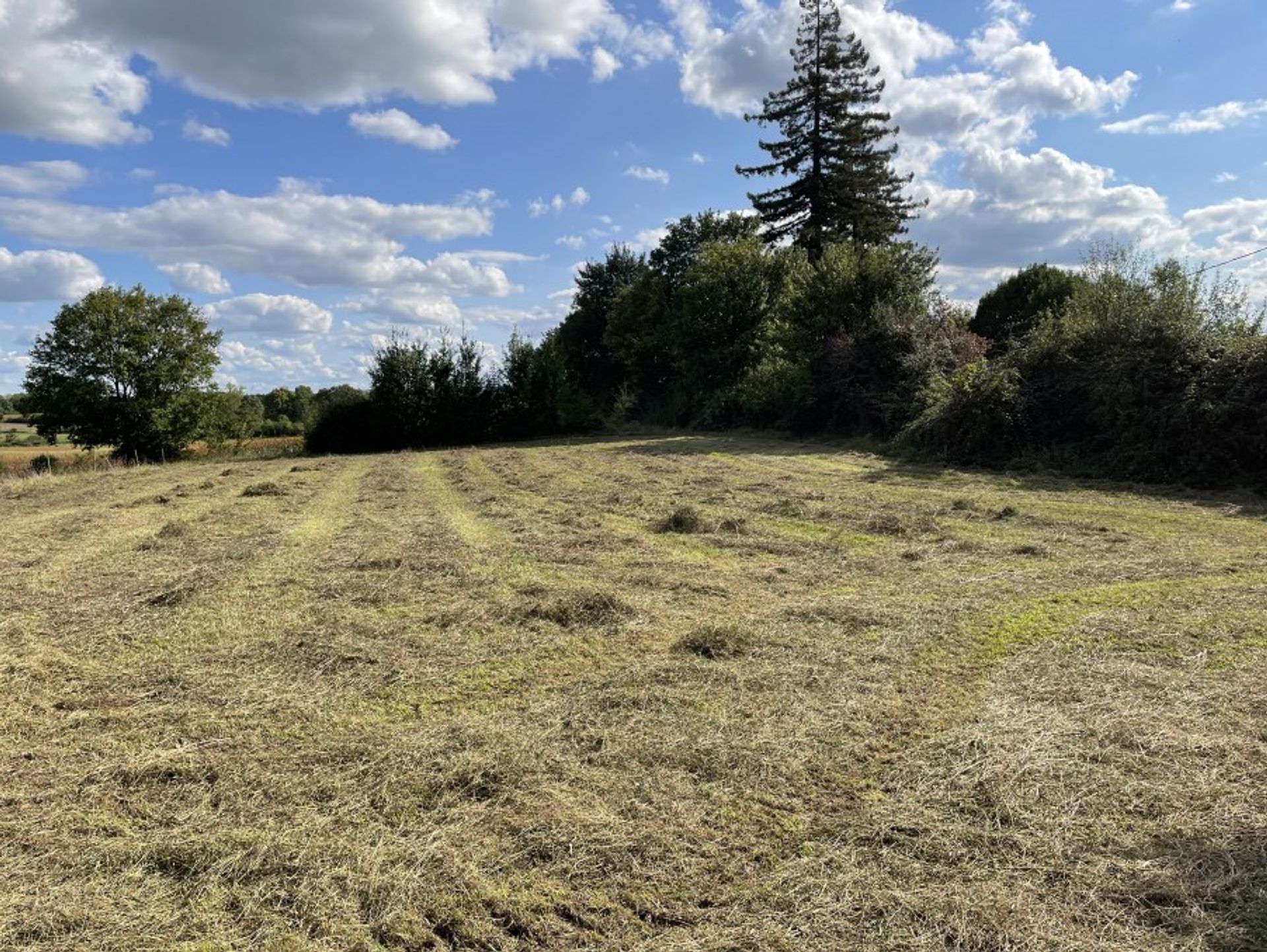 Land in Beaumontois-en-Périgord, Nouvelle-Aquitaine 10724484