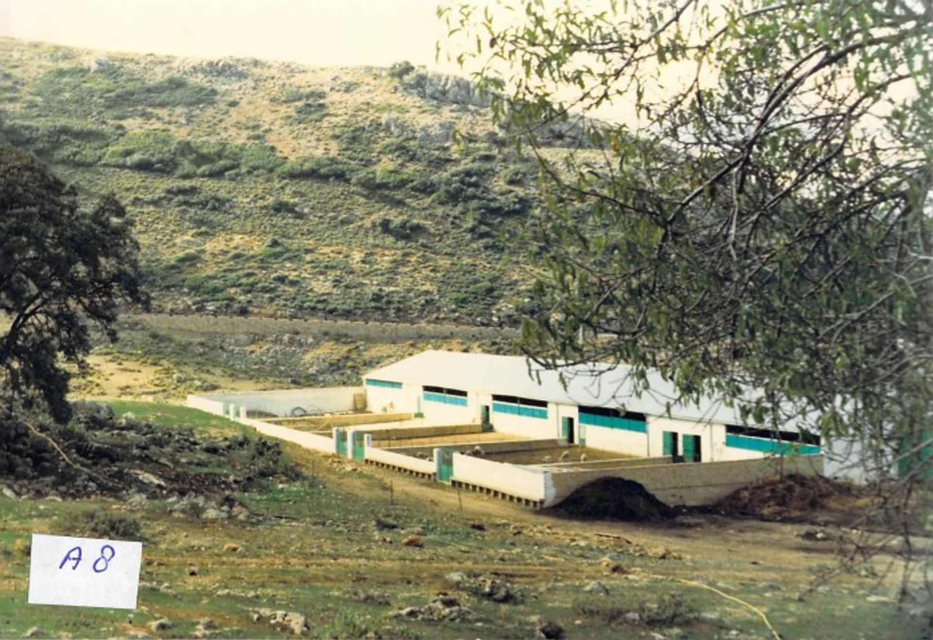 Terra no Ronda, Andalucía 10724509