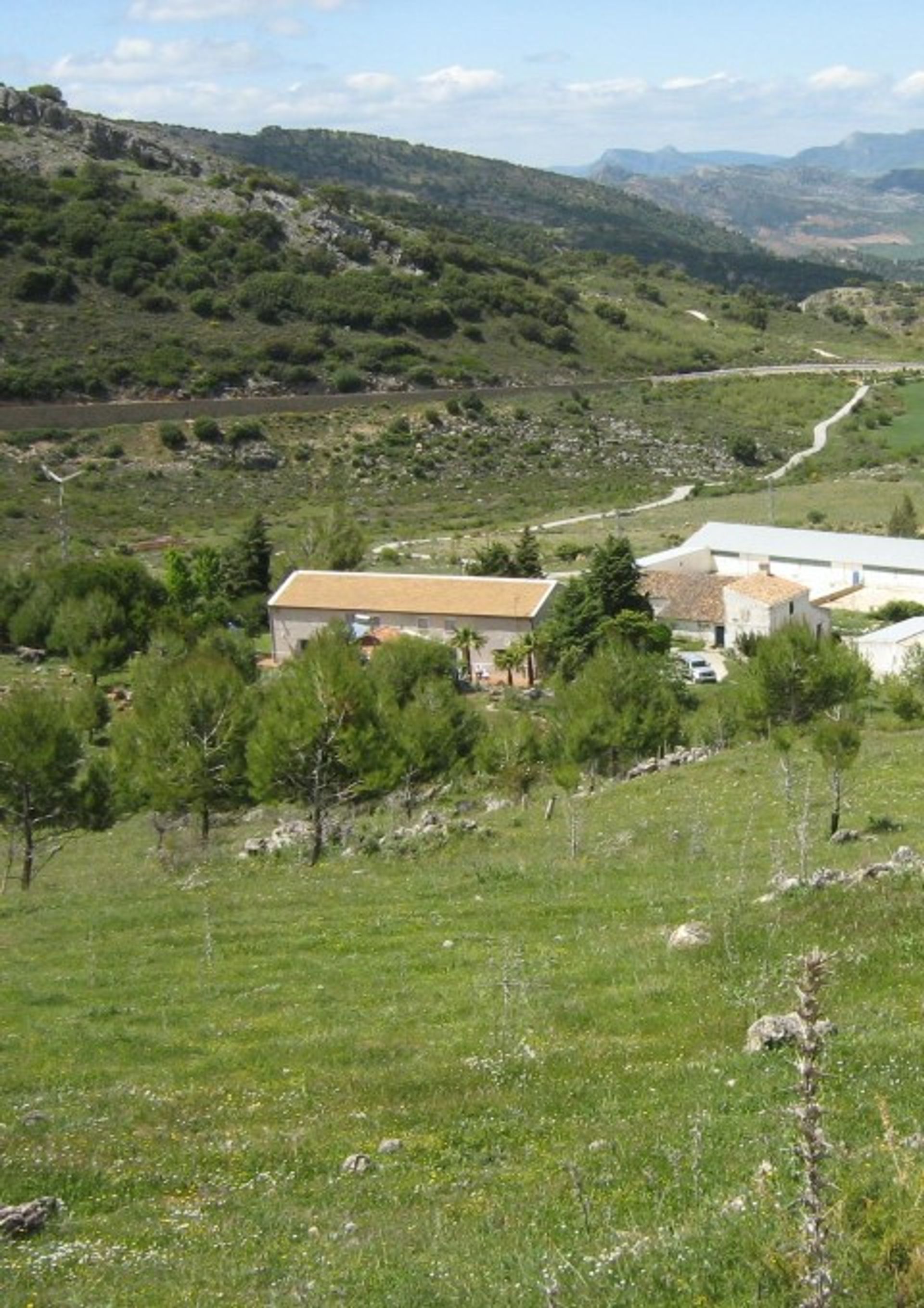 Land in Ronda, Andalucía 10724509