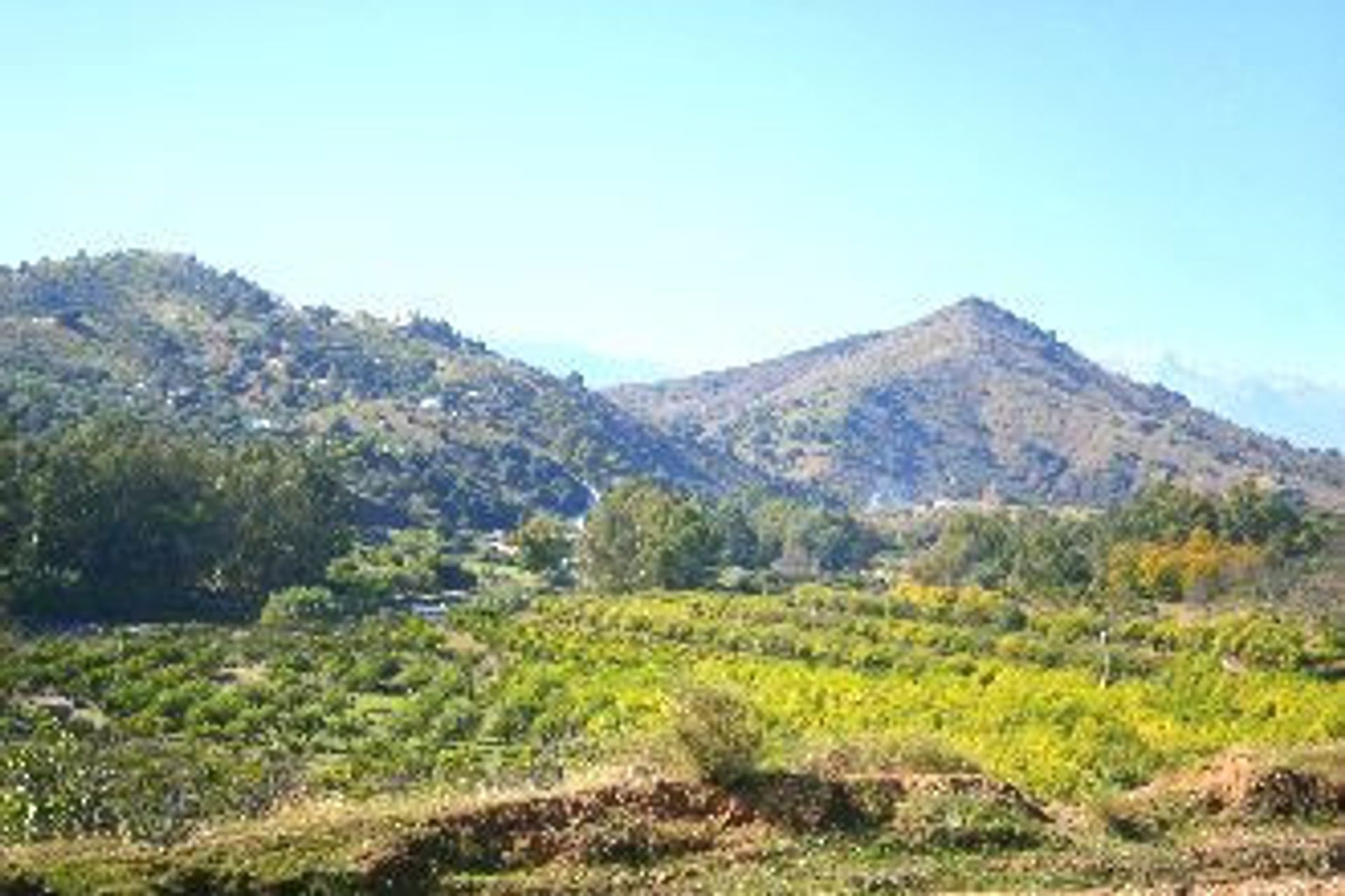 Perindustrian dalam Coín, Andalucía 10724525