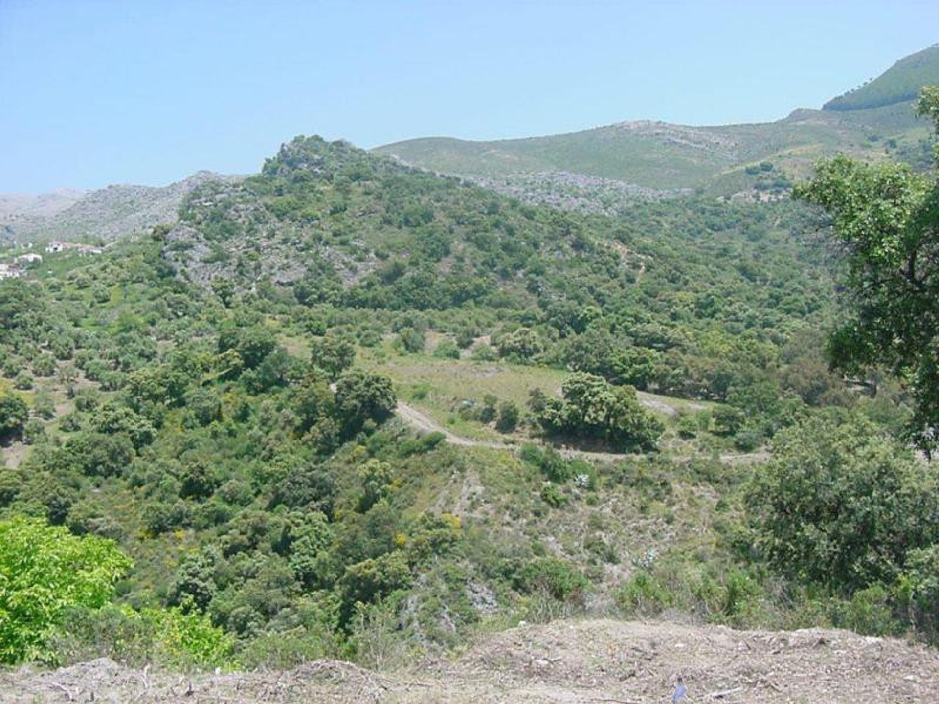 Land in Ronda, Andalucía 10724549