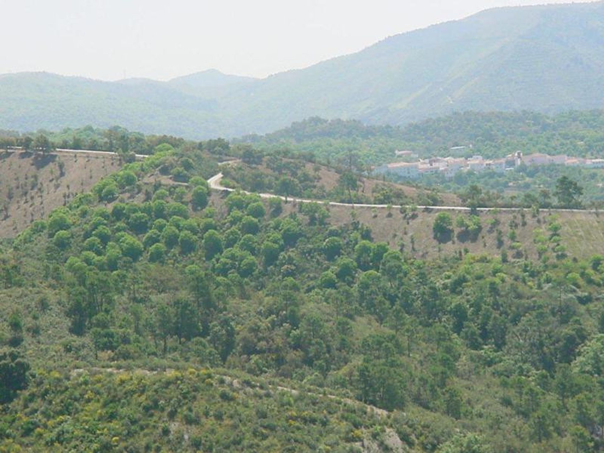 Land in Ronda, Andalucía 10724549