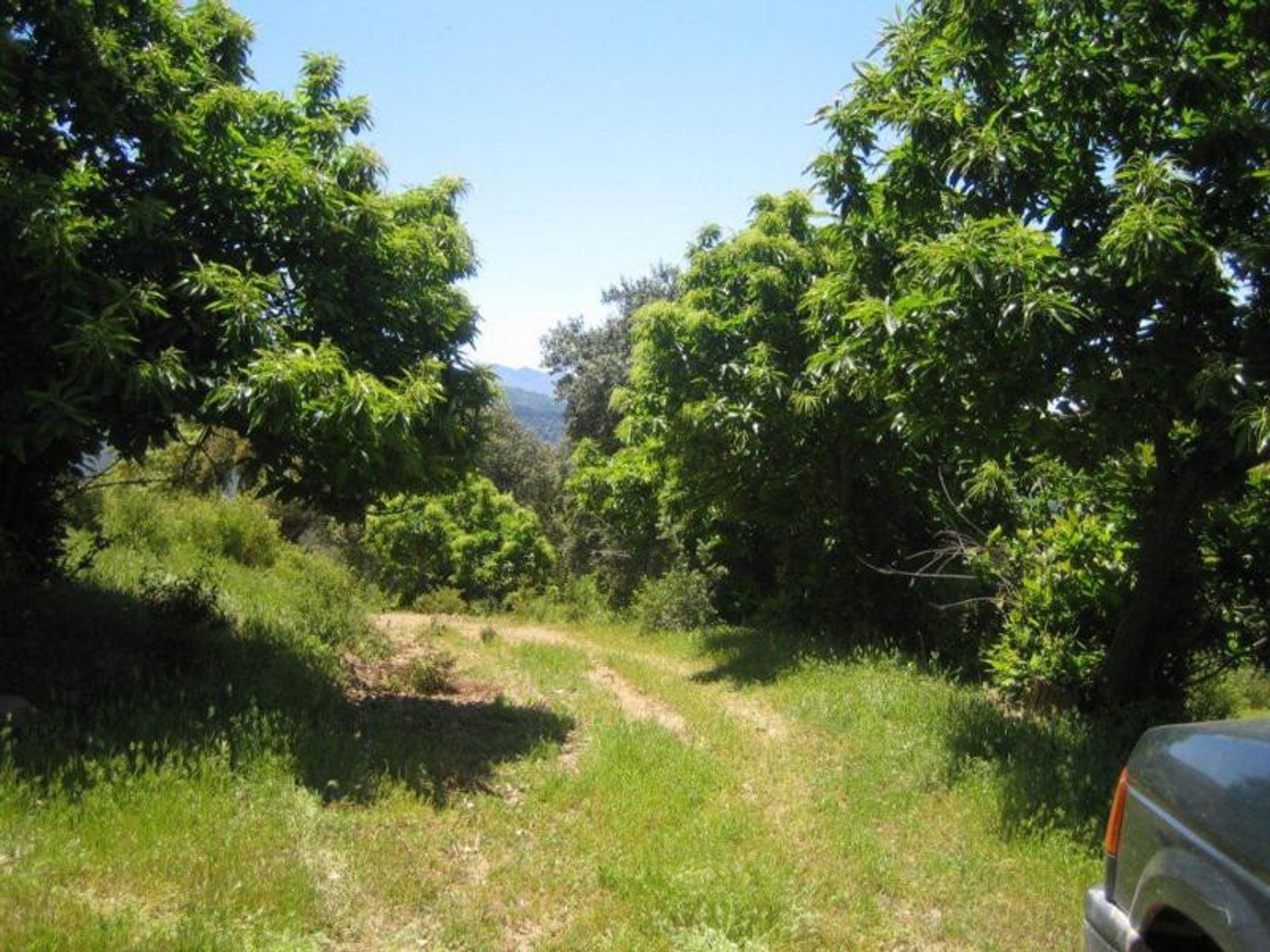 Tanah dalam Ronda, Andalucía 10724549