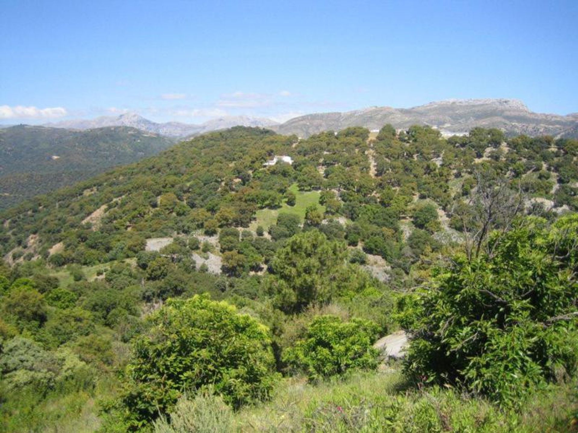 Tanah dalam Ronda, Andalucía 10724549