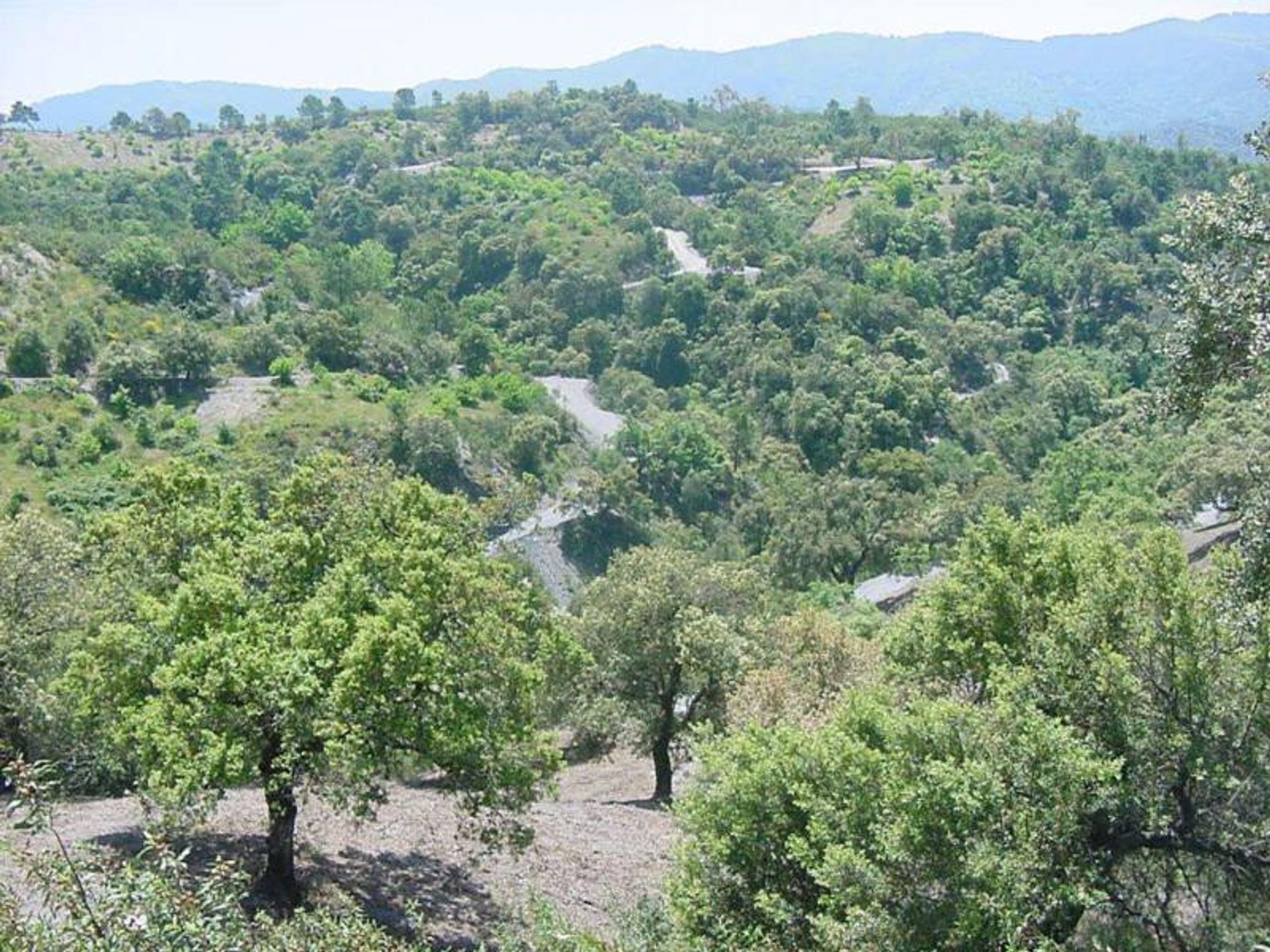 Земельные участки в Ronda, Andalucía 10724549